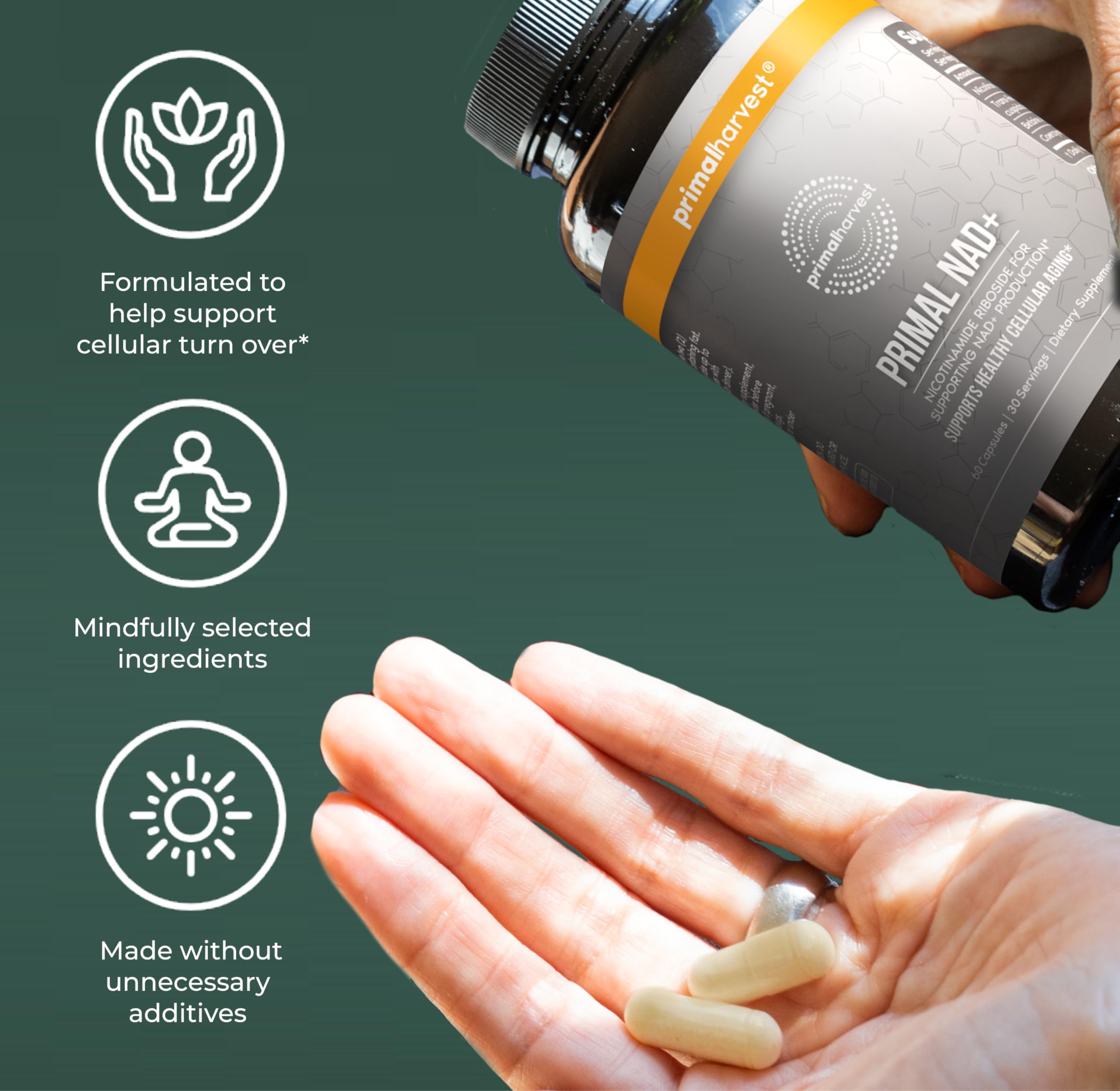 Primal Harvest NAD+ Supplement: Nicotinamide Riboside, Trans-Resveratrol, Betaine, CoQ10, NAD Supplements for Cellular Health, Energy, and Mitochondrial Support (60 Count (1 Pack) Primal Harvest uk supplements