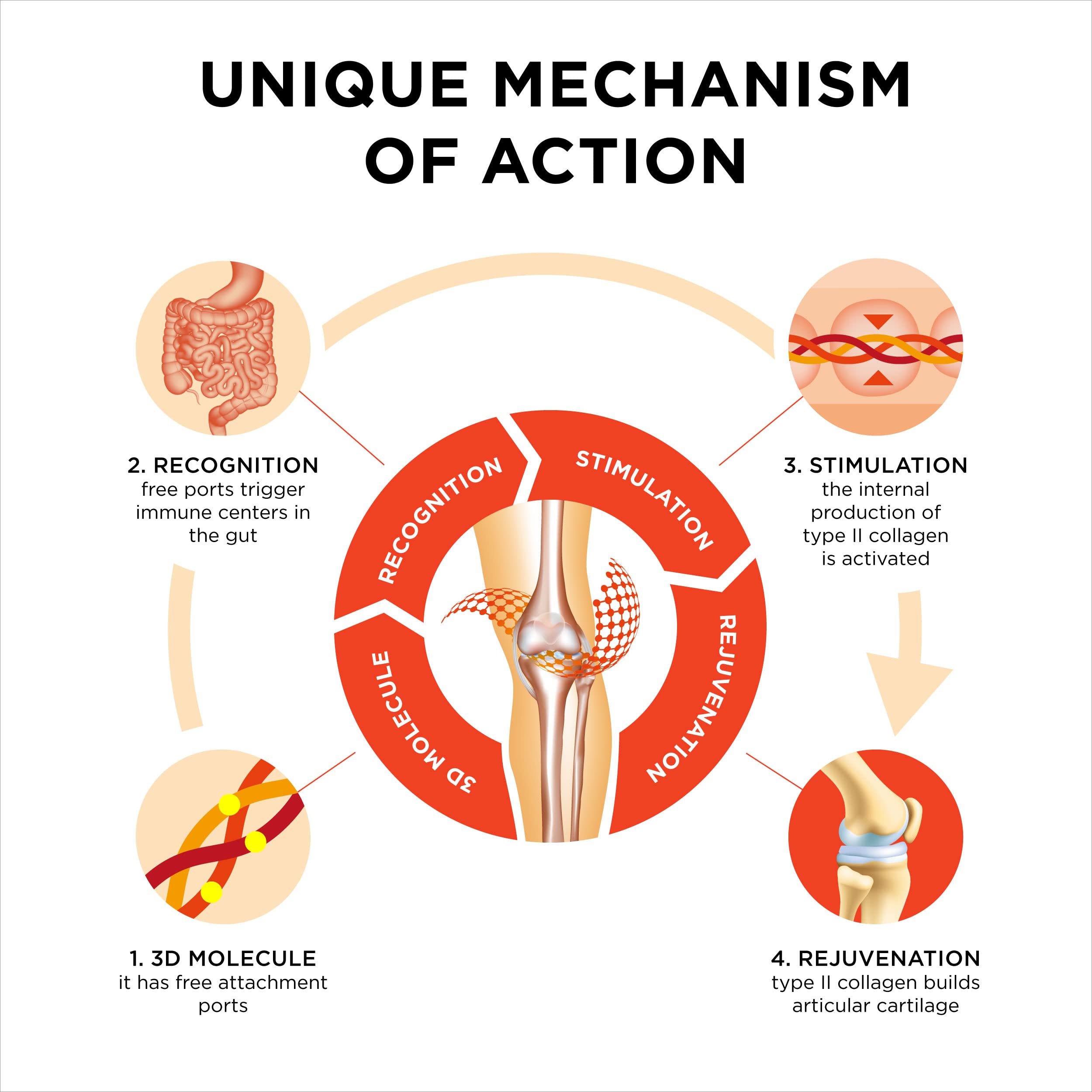 Innovation in The Care of Healthy Joints – Liquid Formula in a Double Capsule. 3D Collagen + Micelle Extract of Turmeric Roots 1 Capsule/Day. Laboratory Tested Collanol uk supplements