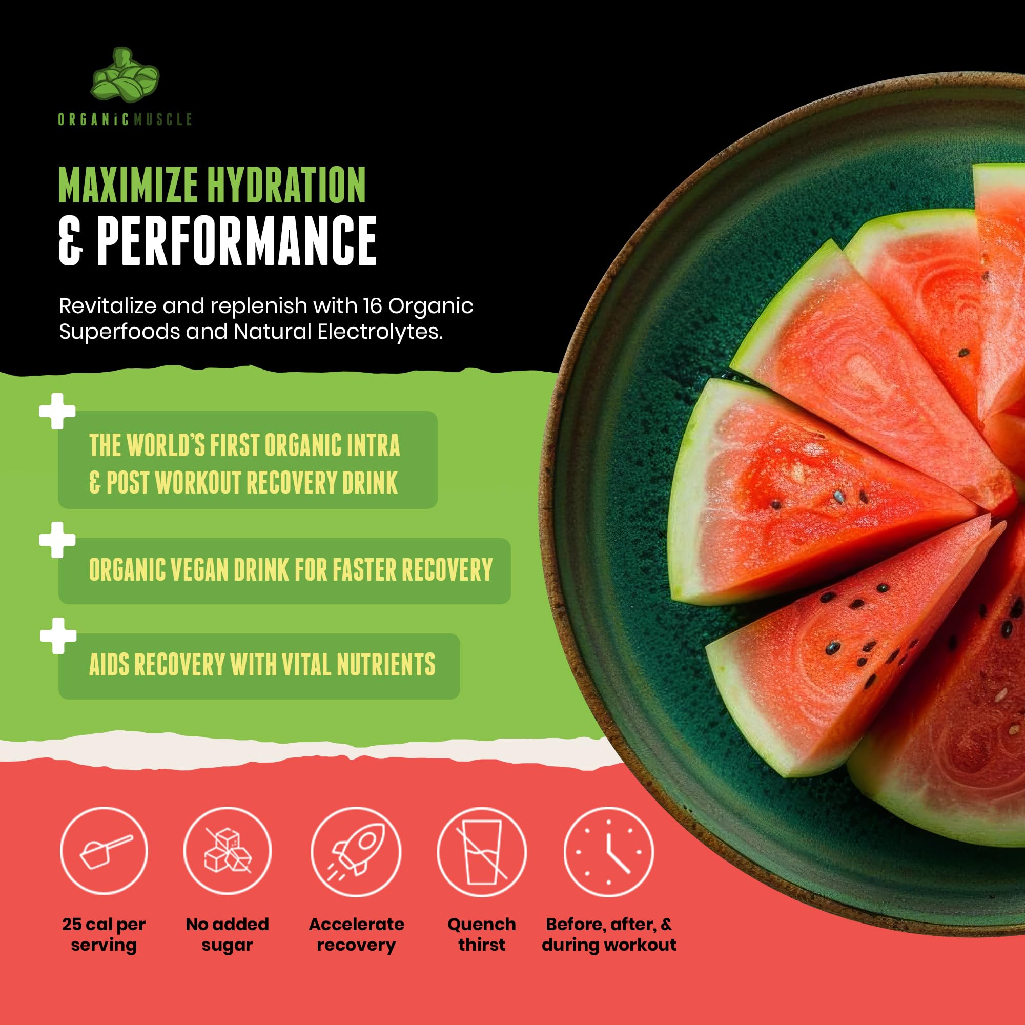 Organic Muscle Hydrator | Natural Electrolyte Powder for Peak Performance & Recovery - Watermelon Flavor, 20 Servings Organic Muscle uk supplements