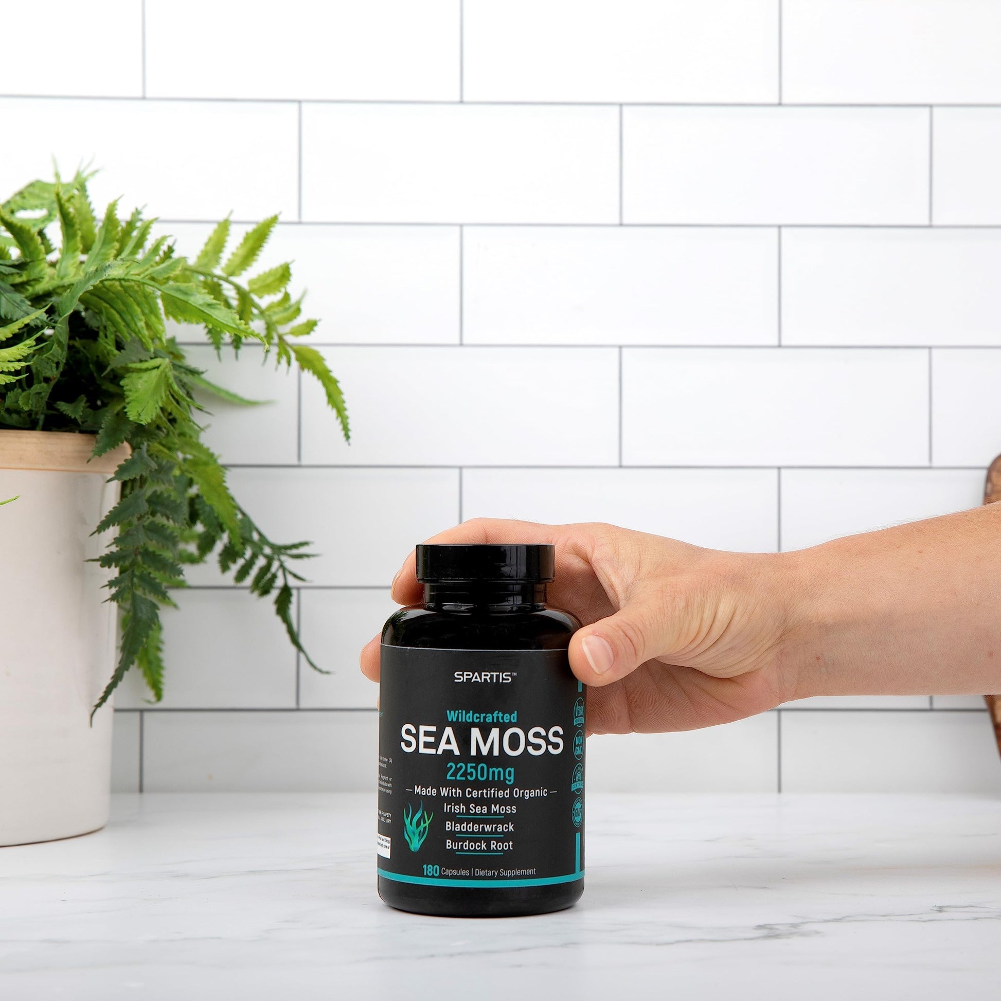 SPARTIS Certified Organic Sea Moss Capsules 2250mg Wildcrafted Irish Sea Moss Burdock Root Bladderwrack Supplement Raw Seamoss Pills & Powder (Pack of 1 at 180-Caps) SPARTIS uk supplements