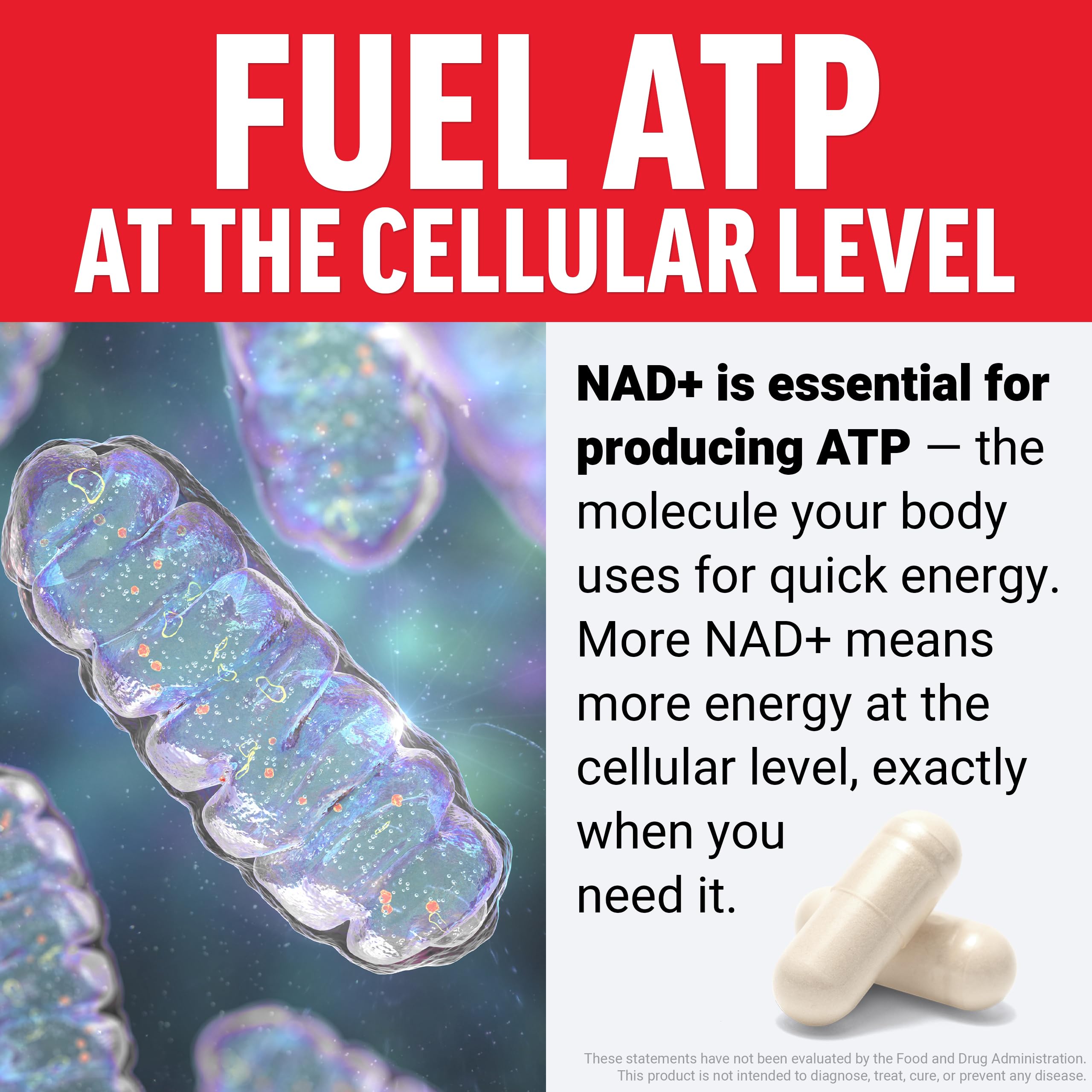 Force Factor NMN Supplement, Nicotinamide Mononucleotide to Support Healthy Aging and Energy Metabolism, Boosts NAD+ Levels, No Gelatin, Non-GMO, 30 Vegetable Capsules Force Factor uk supplements