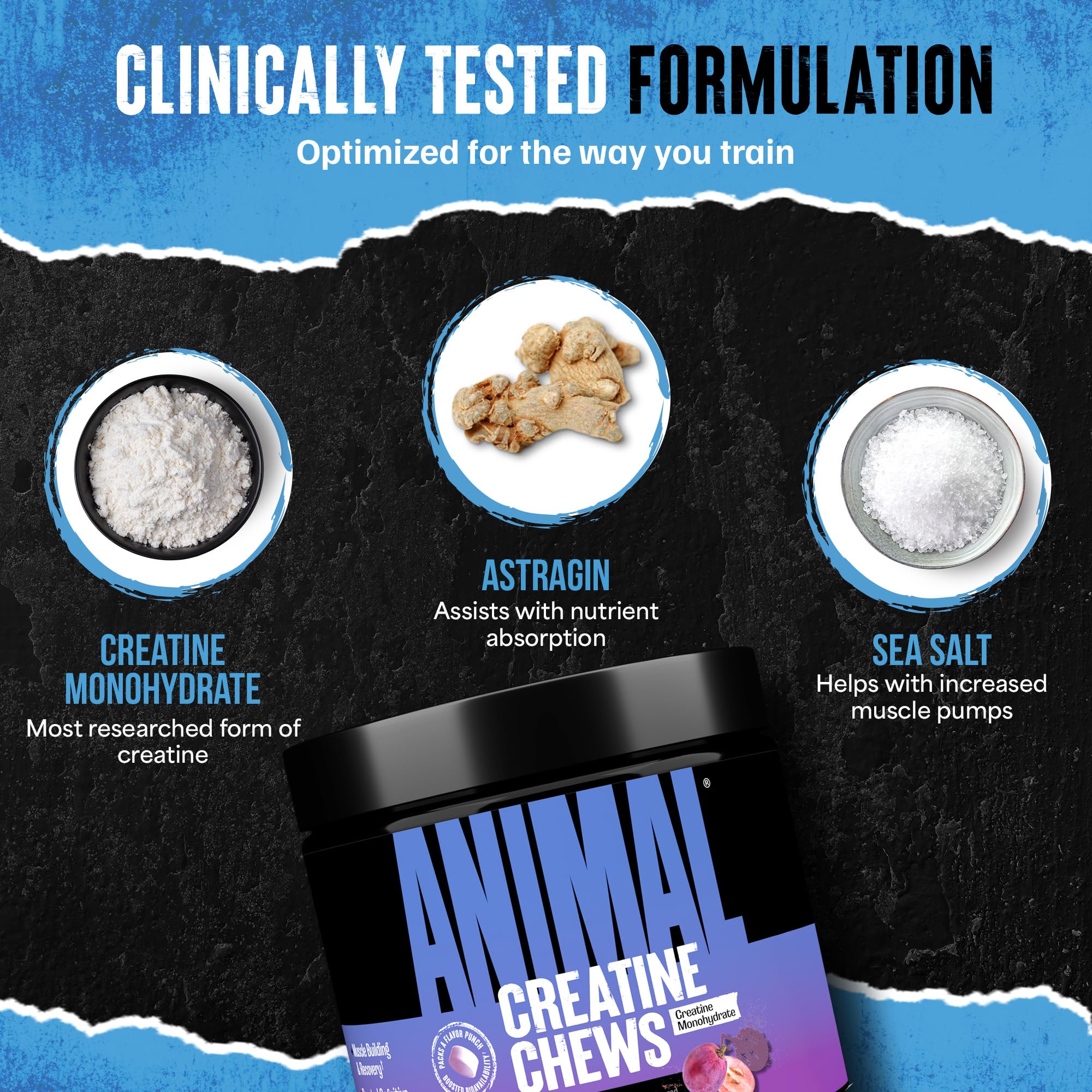 Animal Creatine Chews – 5g Creatine Monohydrate Tablets for Strength, Power & Training Recovery Support – Enhanced Absorption with AstraGin® – Convenient Chewable Format – 120 Tablets Animal uk supplements