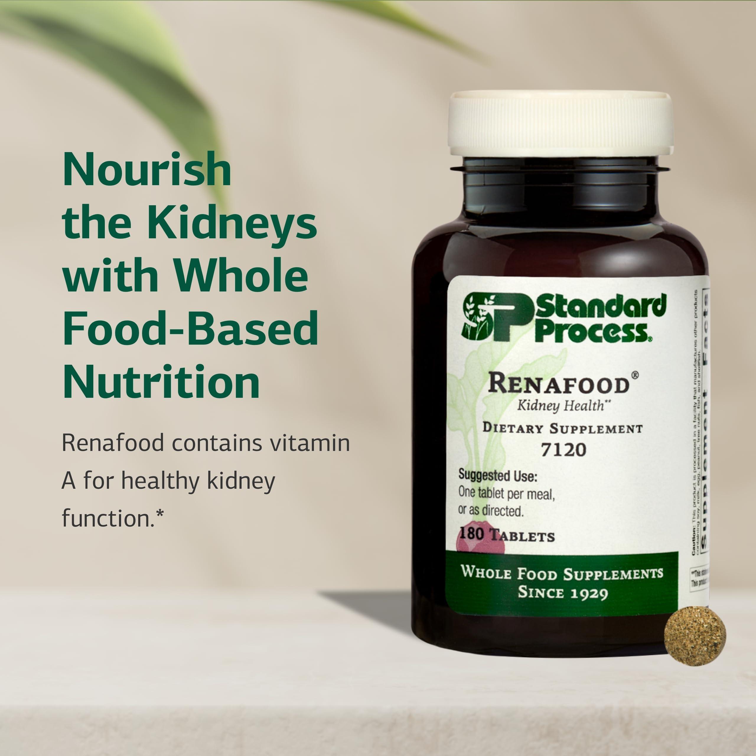 Standard Process Renafood - Supports Healthy Kidney Function & Antioxidant Activity - Contains Vitamins A - Non-Soy - 180 Tablets Standard Process Inc. uk supplements