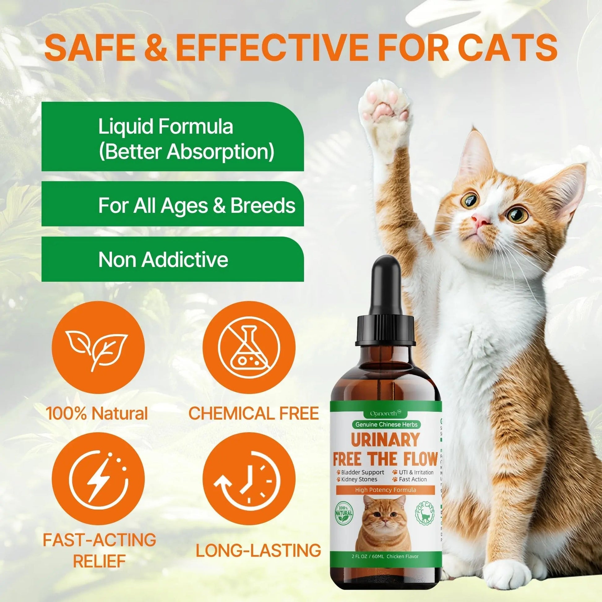 Cat Bladder Remedy for Stones & Crystals, Kidney StonesDissolver forCat- Urinary Free The Flow - Cat Urinary Tract Infection Treatment for Stones, Herbal CatUTI Remedy for Stone Relief & Prevention Qanoreth uk supplements