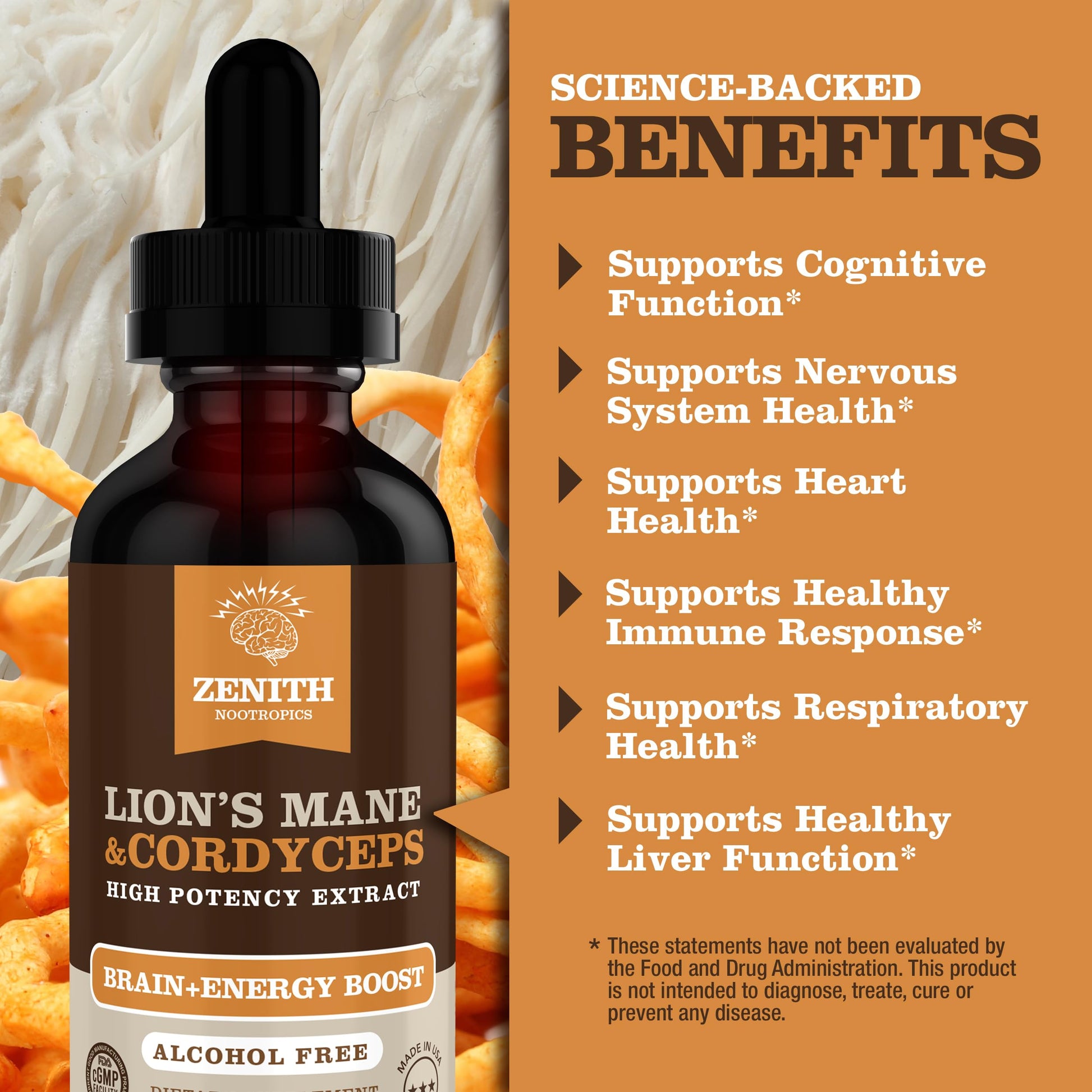 Zenith Nootropics Lion’s Mane & Cordyceps Supplement – Brain & Energy Support – Focus, Memory, Clarity, Immunity – Vegan, Alcohol-Free Tincture – Up-to 2-Month Supply, 2 fl oz Zenith Nootropics uk supplements