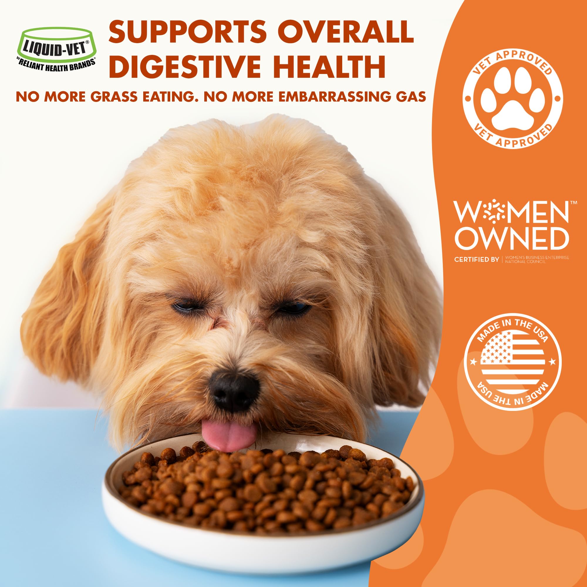 Pre & PostBiotic Support for Dogs – Digestive Upset, Stool Quality & Sensitive Stomach Support – Easy Liquid Formula for Picky Eaters LIQUID-VET uk supplements