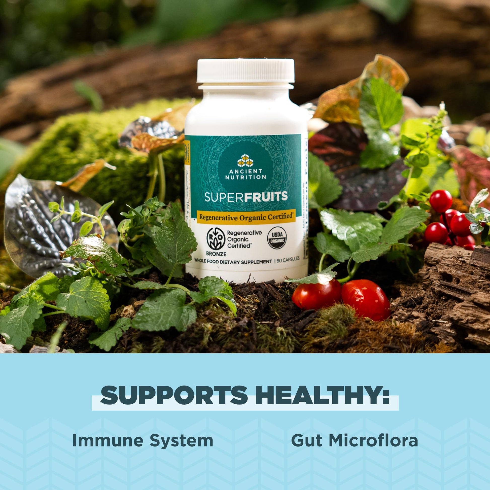 Ancient Nutrition Regenerative Organic Certified SuperFruits Capsules, Supports Gut and Immune System Health, Made with Probiotics, Dragonfruit, Mulberry, and Goji, 60 Count Ancient Nutrition uk supplements