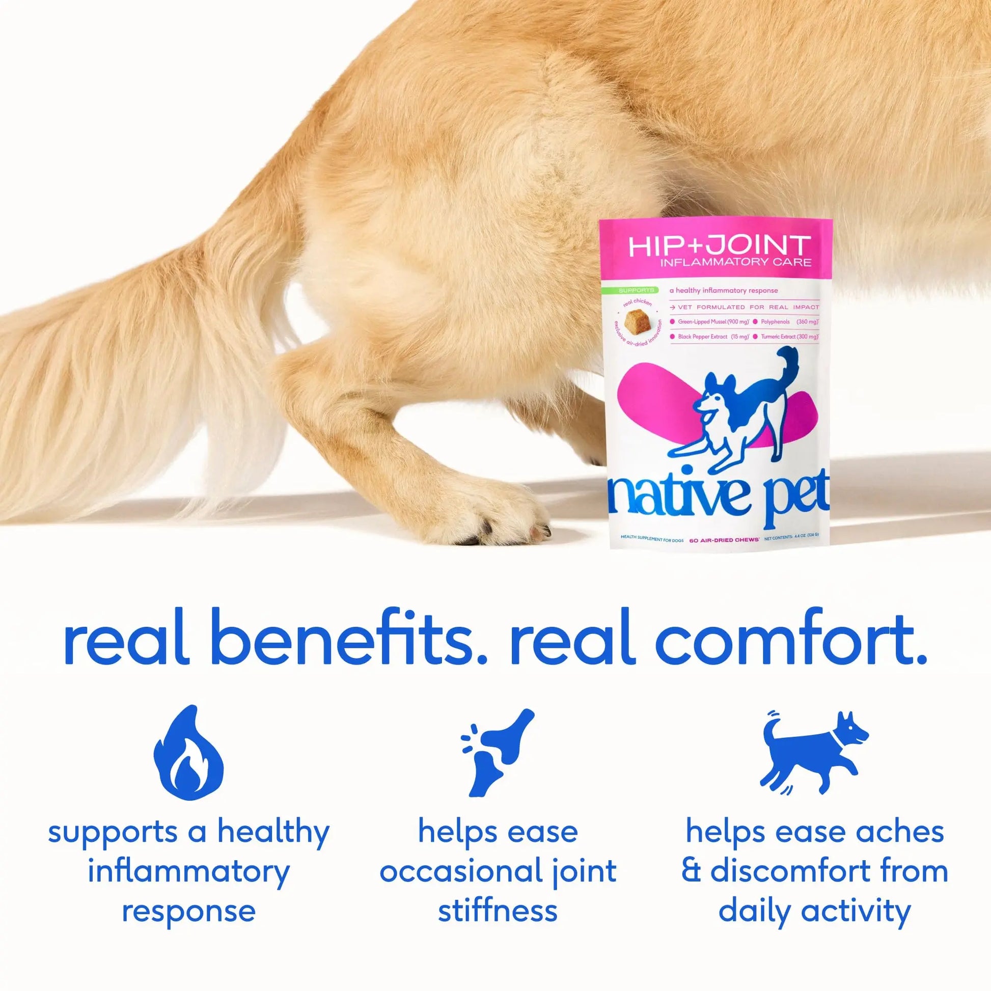 Native Pet Inflammatory Care - Pain Relief for Dogs - Green-Lipped Mussel, Turmeric & Collagen for Dogs - Hip and Joint Supplement Supports Healthy Inflammatory Response & Joint Comfort - 60 Chews Native Pet uk supplements