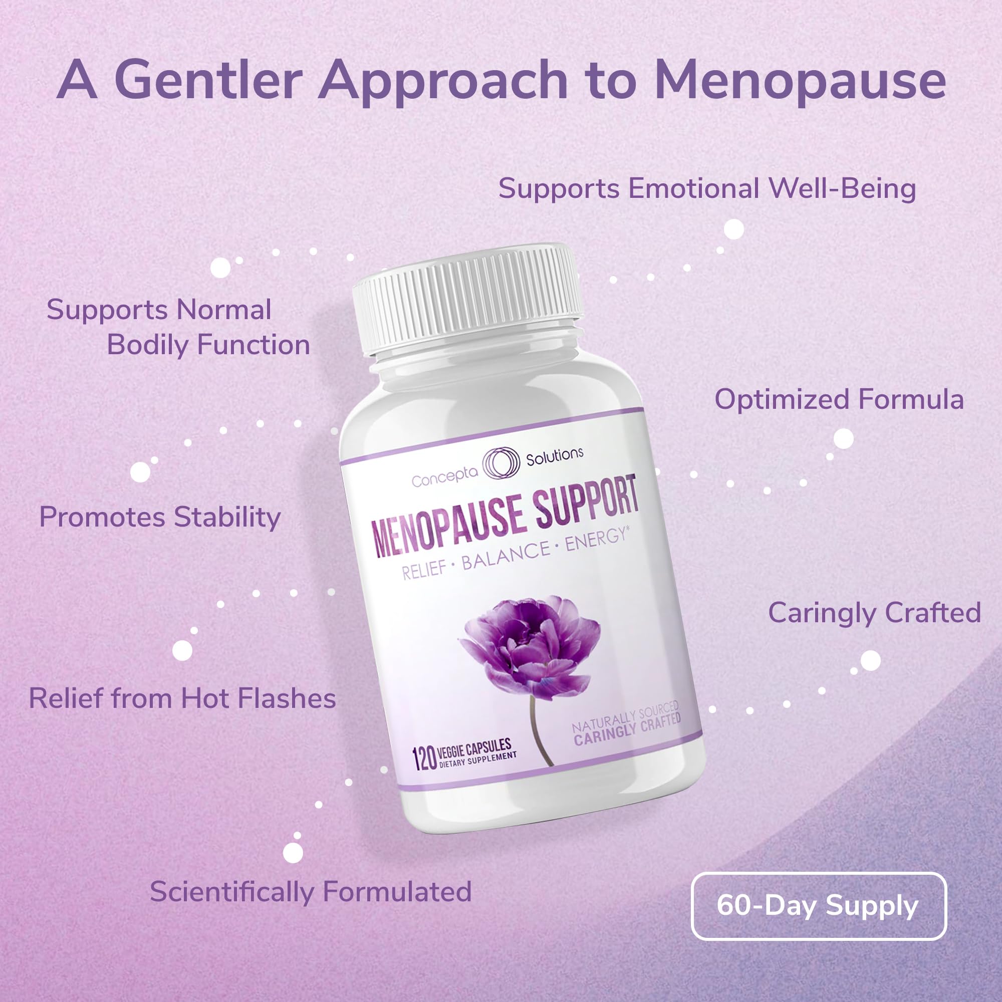 Concepta Solutions Menopause Support - Menopause Relief and Weight Management Support - for Hot Flashes, Night Sweats Relief and Energy - 120 Capsules - Made in USA Concepta Solutions uk supplements