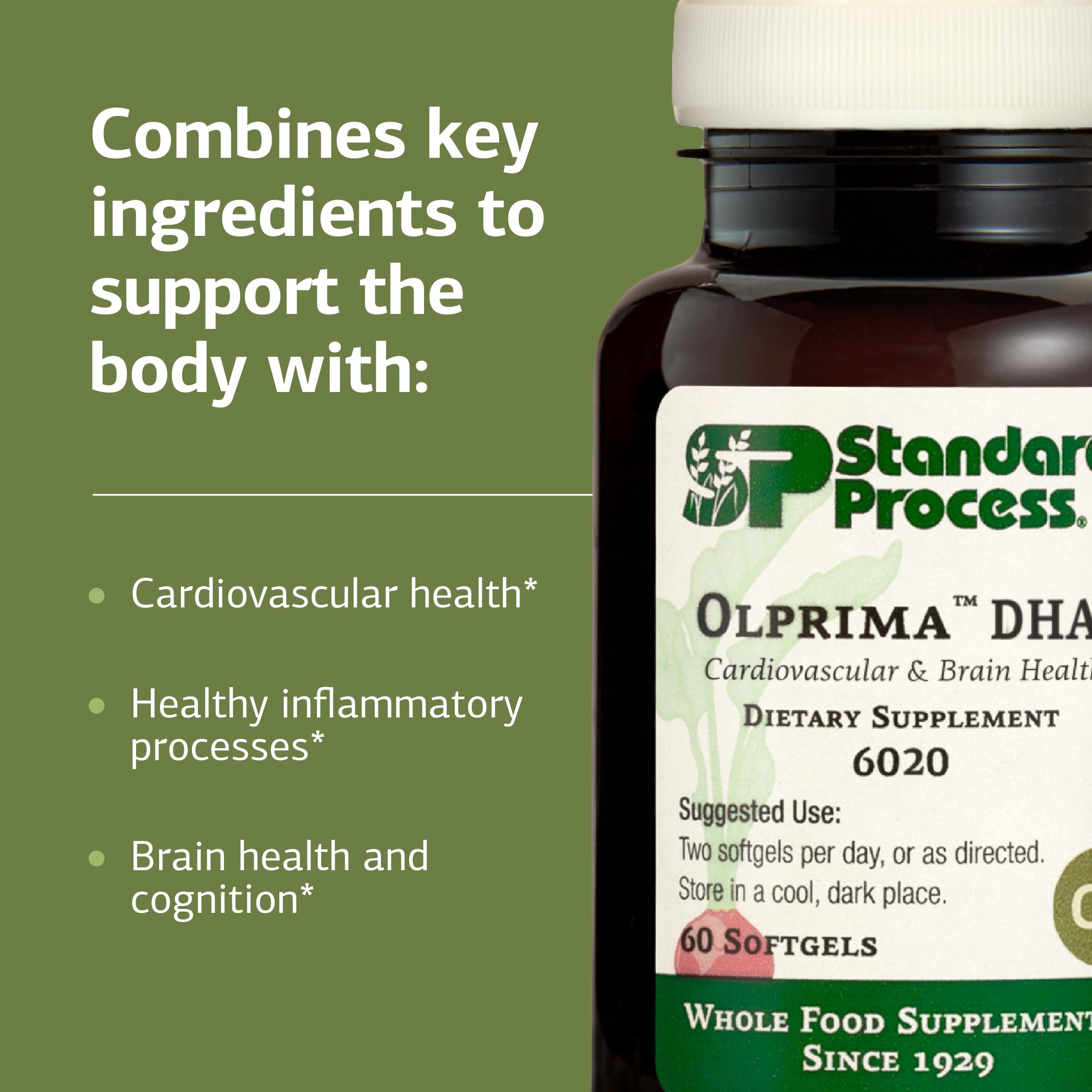 Standard Process Olprima DHA - Omega-3 Supplement for Heart & Brain Health - Gluten-Free, Non-Dairy & Non-Soy - 60 Softgels (30 Servings) Standard Process Inc. uk supplements