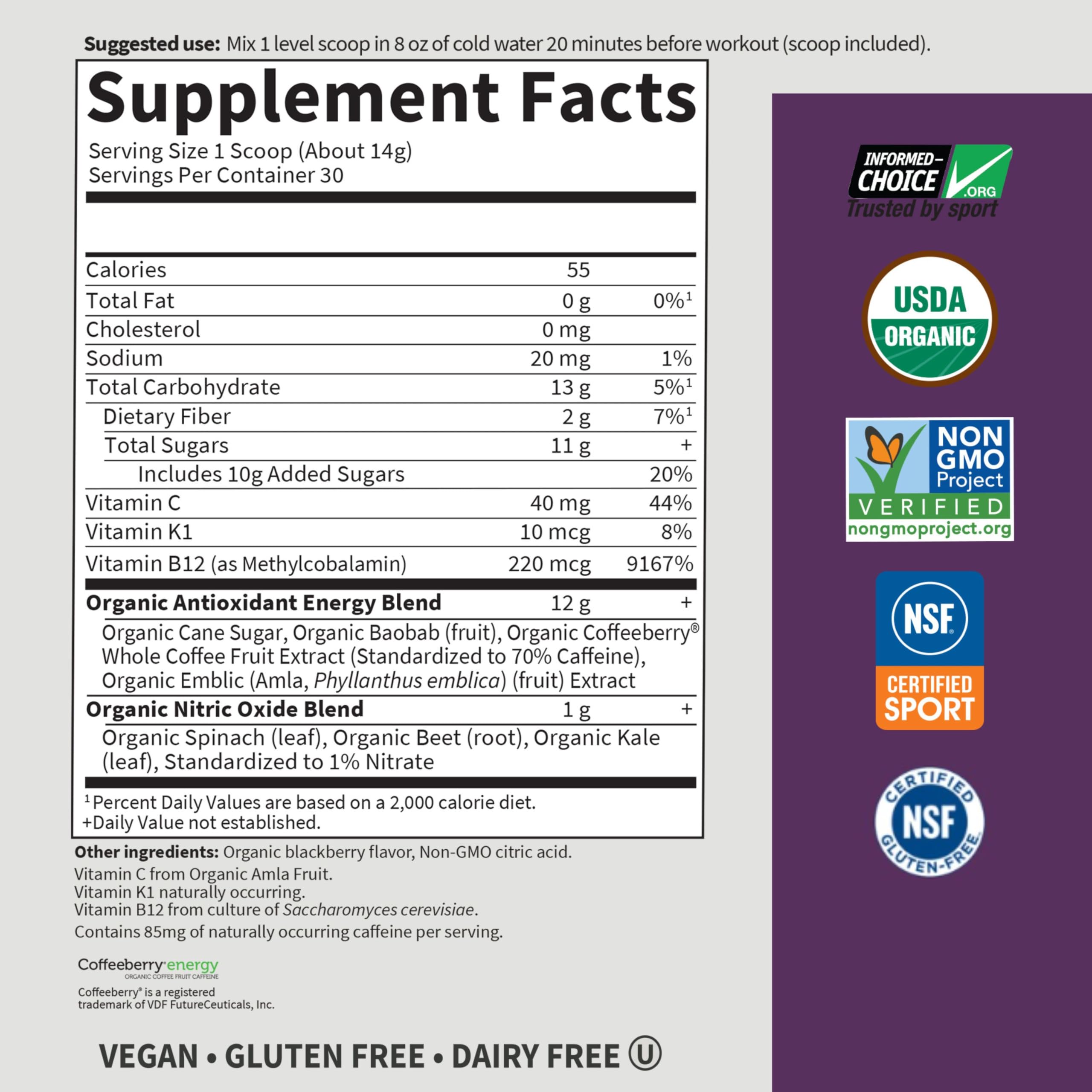 Garden of Life Sport Organic Plant Based Energy + Focus Clean Pre Workout Powder, with 85mg Caffeine, Natural No Booster, B12, Vegan, Gluten Free, Non-GMO, BlackBerry, 15.3 Oz Garden of Life uk supplements