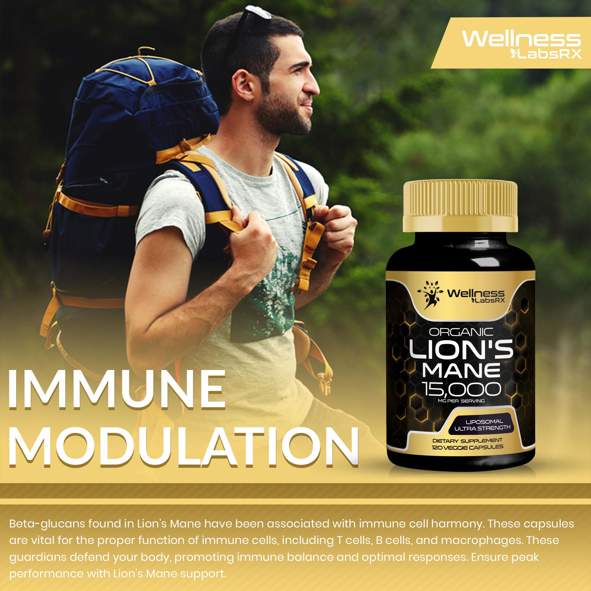 Lions Mane Supplement Capsules - 120 Count - Mushroom Supplement, Brain Supplements WELLNESS LABSRX uk supplements