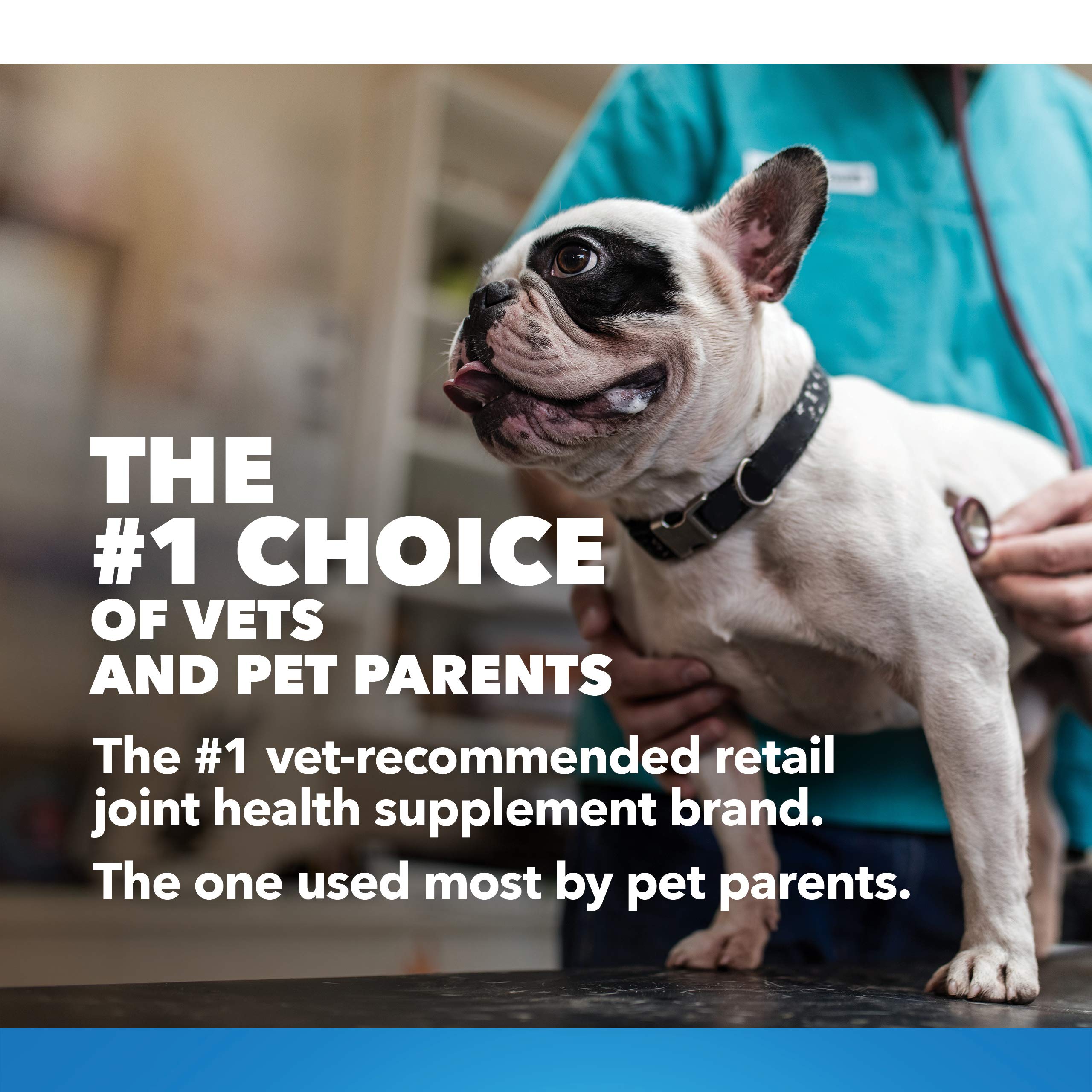 Nutramax Laboratories Cosequin Maximum Strength Joint Health Supplement for Dogs Nutramax Laboratories uk supplements