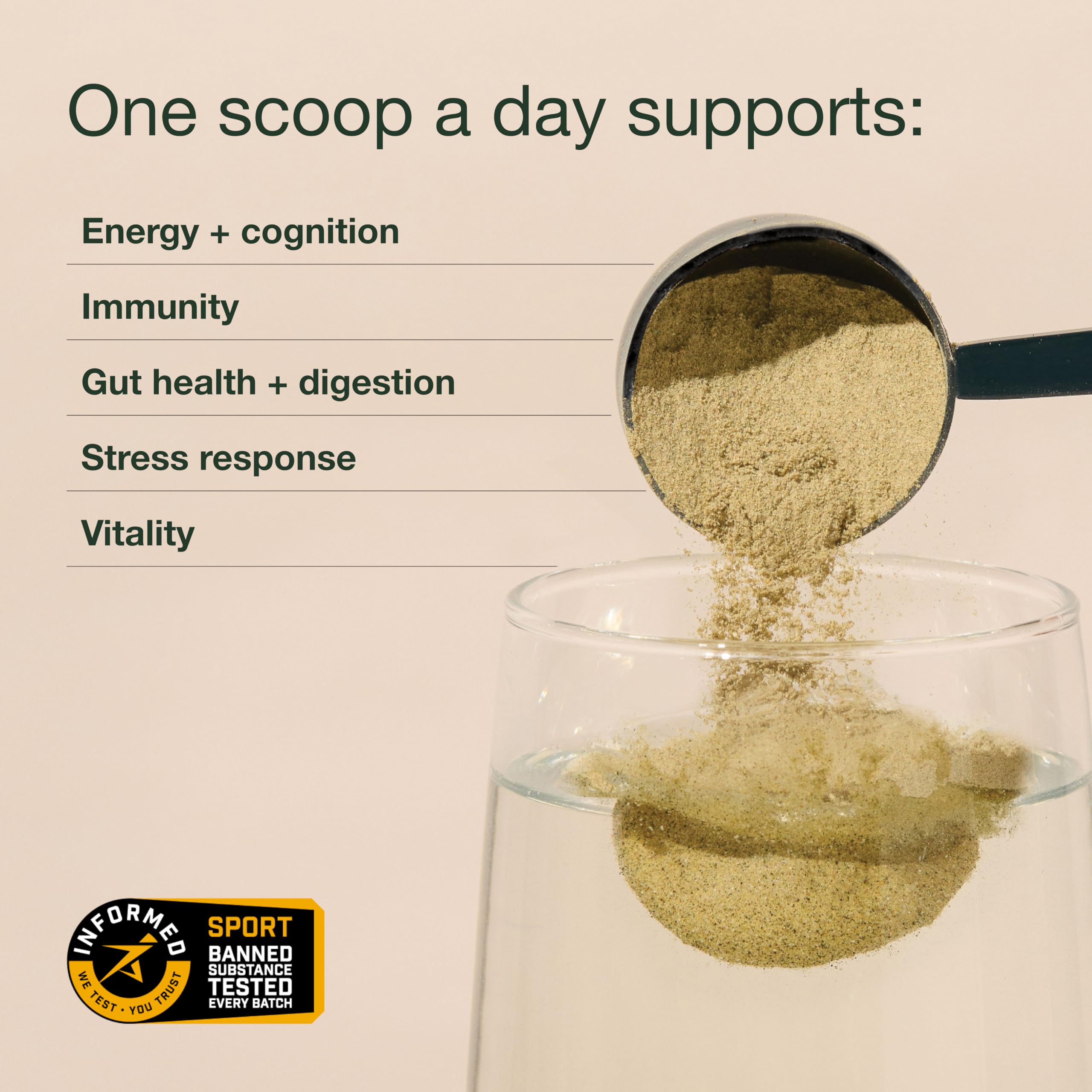 Nuzest Greens Powder Good Green Vitality – Vitamins, Minerals & Superfoods – Vegan Multivitamin Supplement (300g) Nuzest uk supplements