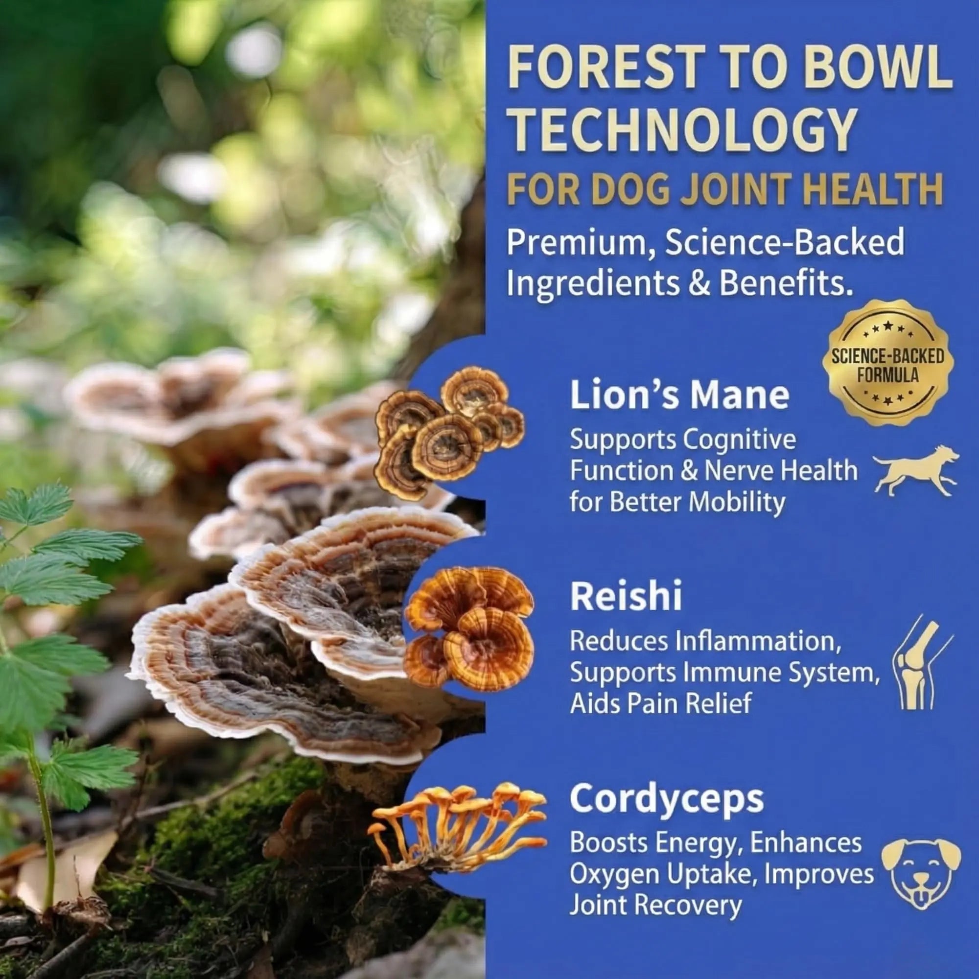 Fifth & Fido Joint Supplement for Dogs - Glucosamine for Dogs - Pet Vitamins and Supplements Powder with Chondroitin & MSM - Hip & Joint Support for Mobility, Stiffness & Flexibility - Mushroom Blend Fifth & Fido uk supplements