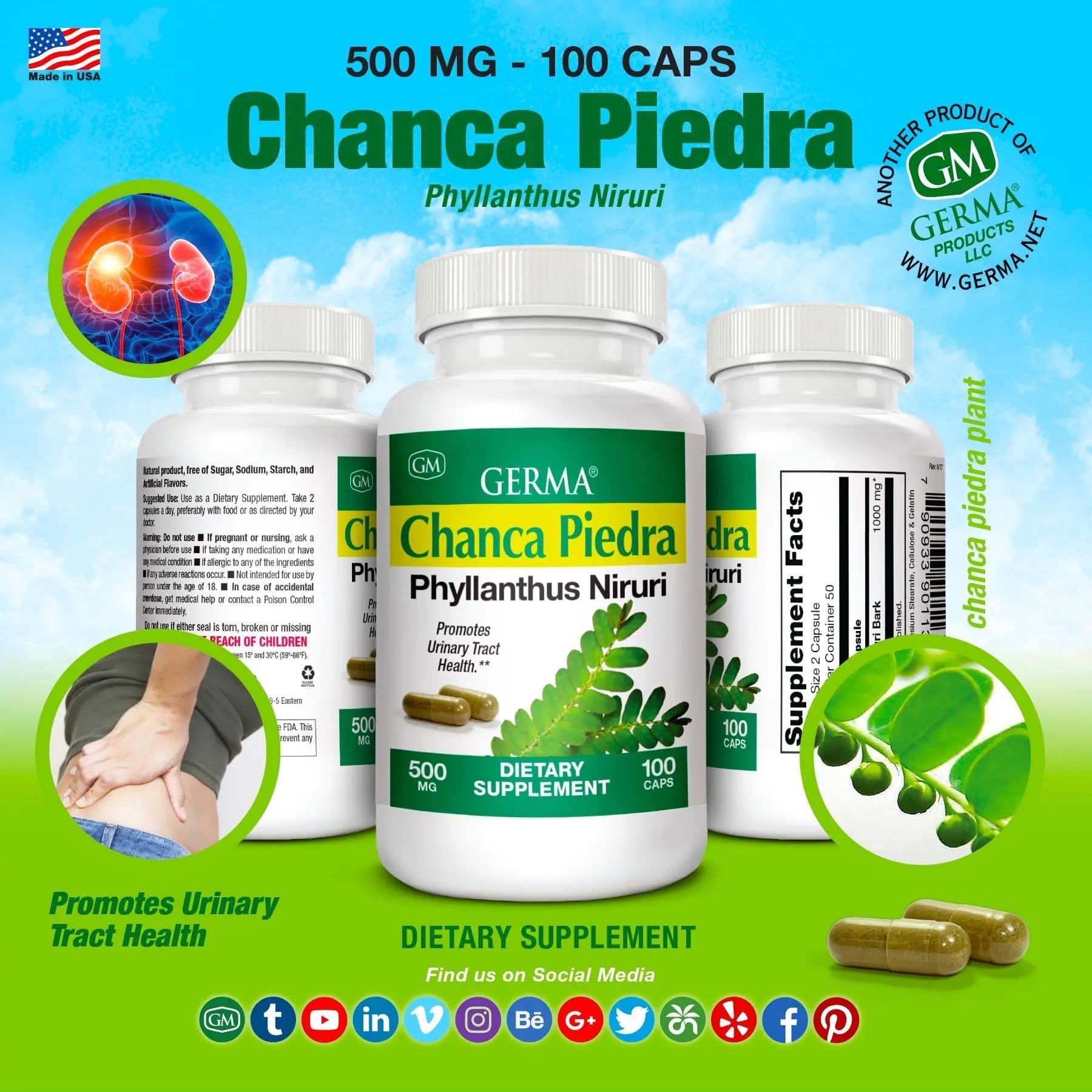 Germa Chanca Piedra Supplement – 500mg Phyllanthus Niruri – Traditional Stone Breaker Herb for Urinary & Kidney Support – Rainforest Botanical – 100% Natural Vegan Capsules, 100 Count Germa uk supplements
