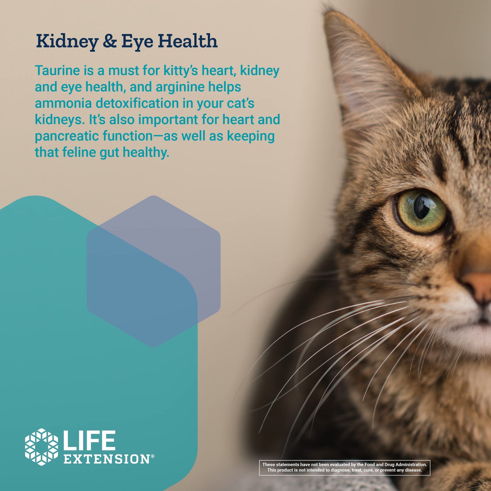 Life Extension Cat Mix – For Heart, Kidney & Pancreatic Function + Gut Health Life Extension uk supplements