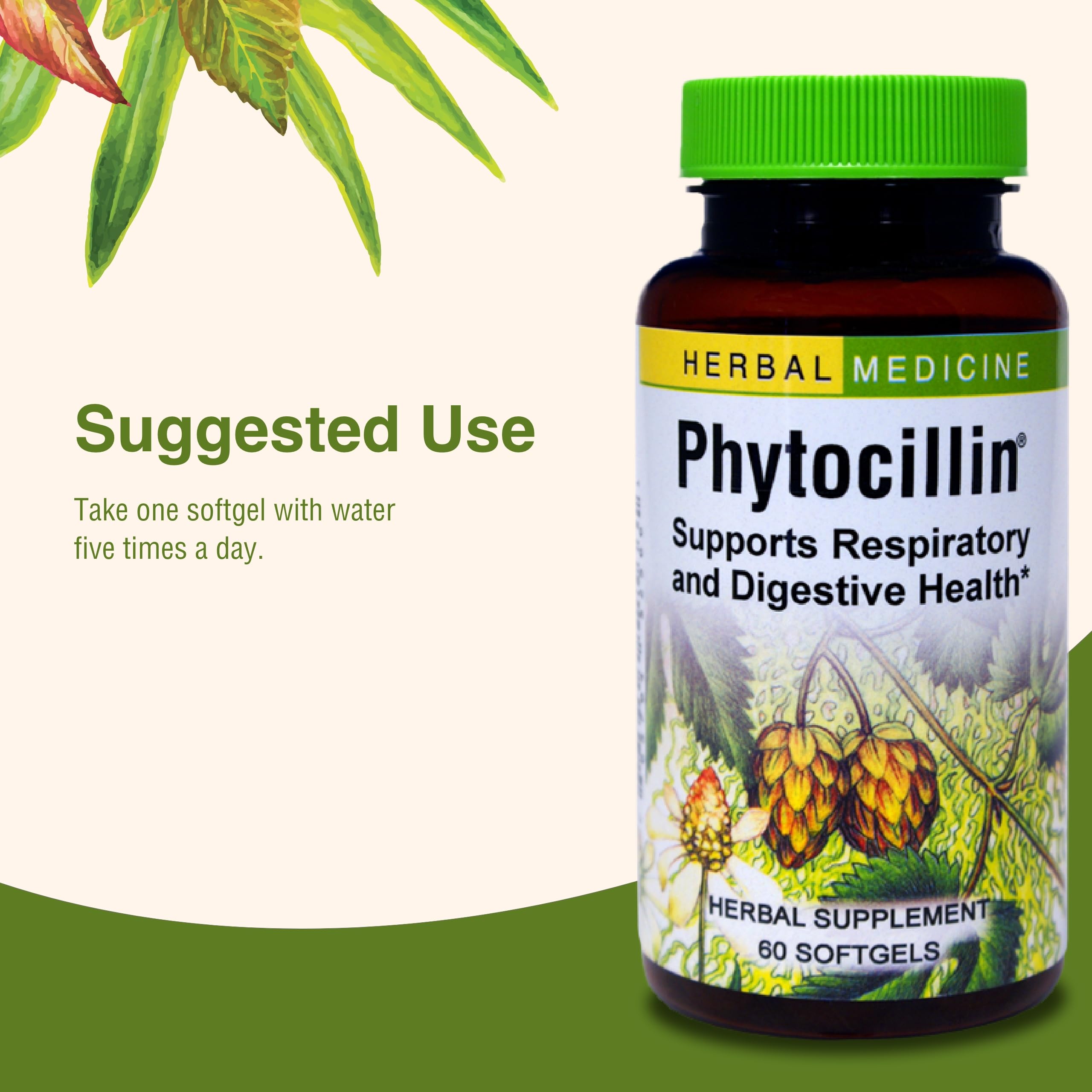 Herbs Etc. Phytocillin - Respiratory & Digestive Health Support Supplement - Herbal Formula to Support Digestion - Support Healthy Breathing - 60 Softgels (60 Servings) Herbs Etc. uk supplements