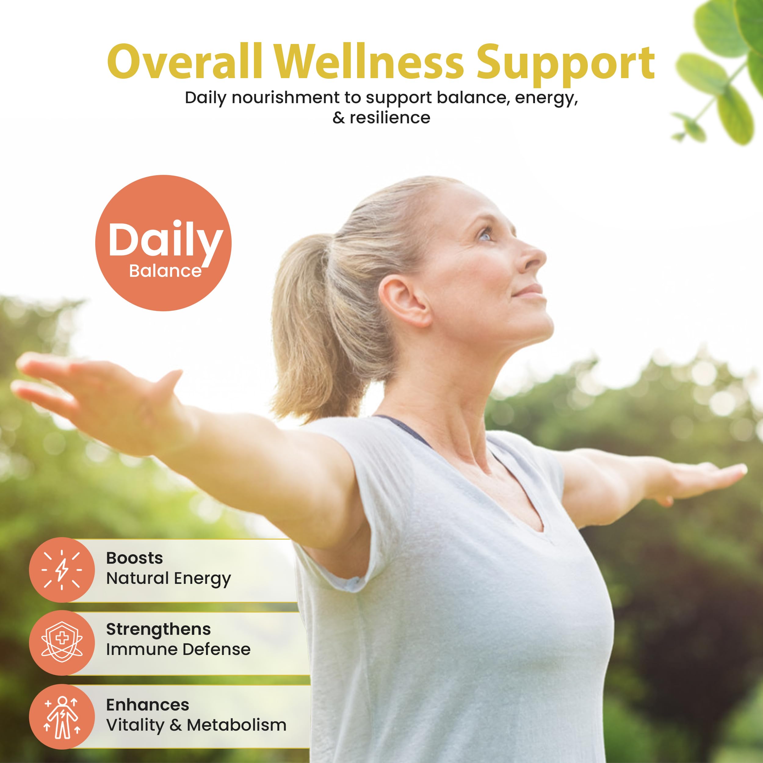 Bella All Natural Moringa Capsules 60 Count - Moringa Oleifera Leaf Supplement with Pomegranate & Elderberry Flavor, Pure Organic Moringa Capsules for Immune, Energy & Skin Health Support Bella All Natural uk supplements