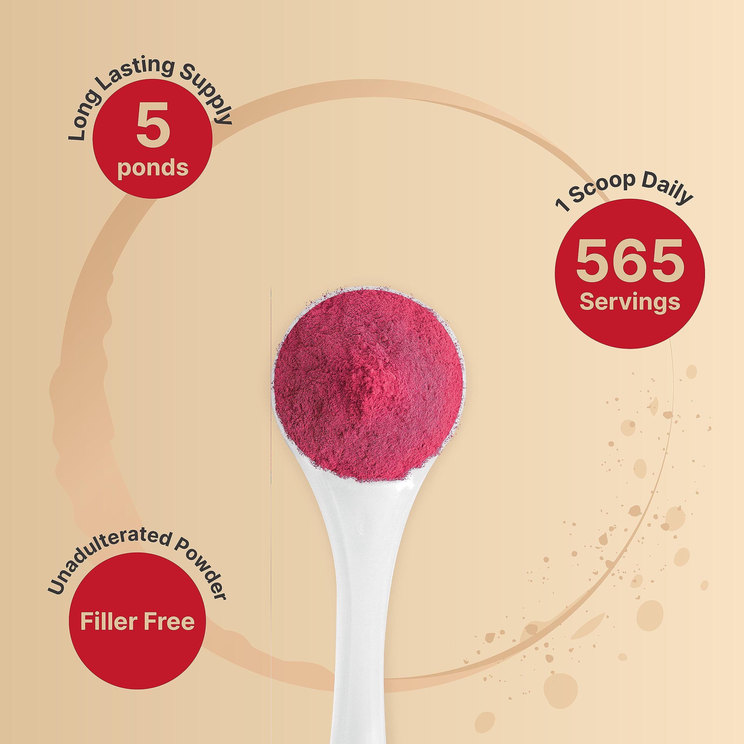 Organic Beet Root Powder 5Lbs | 4,000mg Per Serving – Concentrated Whole Beet Root NatureBell uk supplements