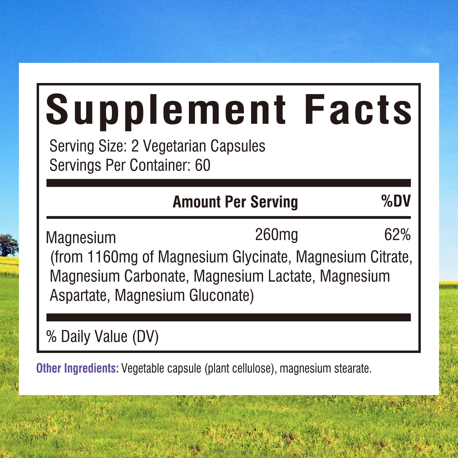 Innate Vitality Magnesium Complex 6-in-1, 1160mg Per Serving, Rest & Digestion, Magnesium Glycinate & Citrate, High Absorption, 120 Vegan Capsules Innate Vitality uk supplements