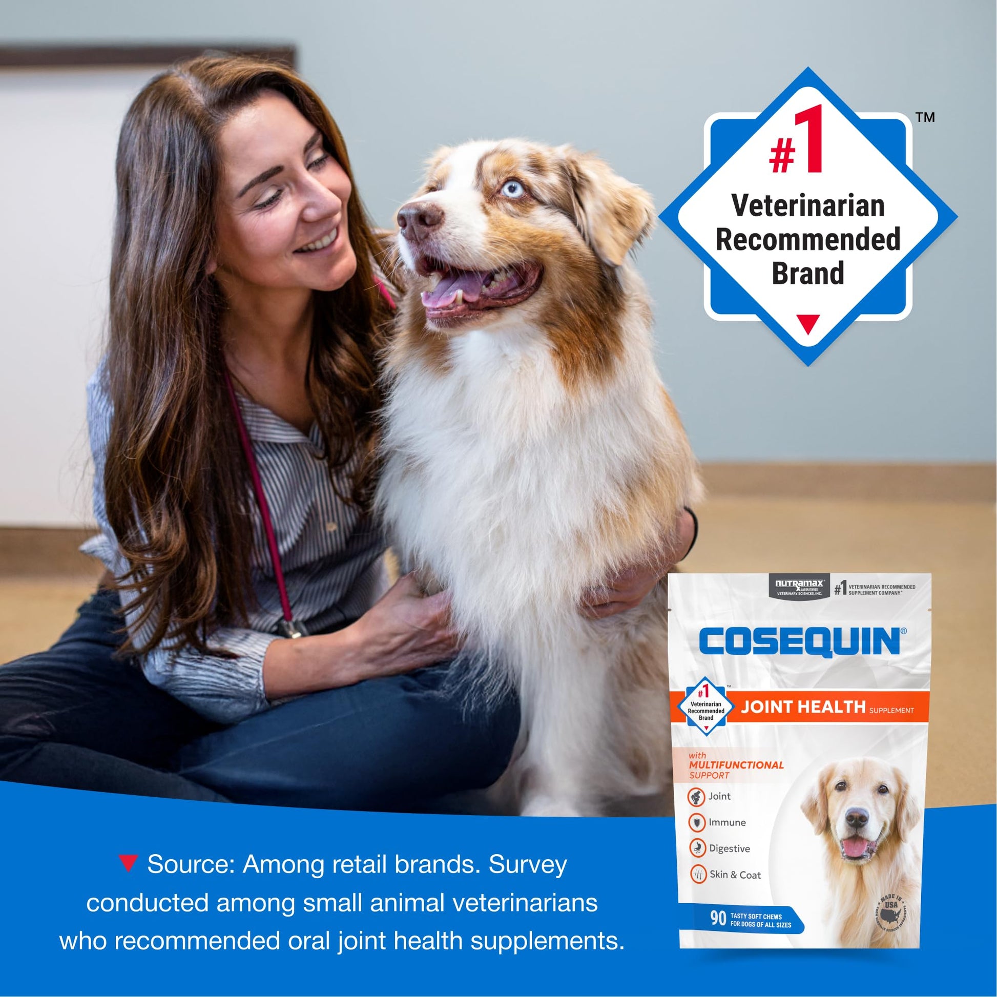 Nutramax Cosequin Joint Health Supplement with Multifunctional Support for Dogs, Soft Chews with Glucosamine, Chondroitin, Omega-3s, and Postbiotics, 90 Count Nutramax Laboratories uk supplements