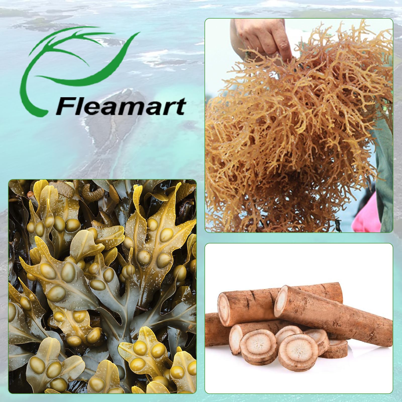 Fleamart Irish Sea Moss Capsules 120ct Raw Organic Sea Moss Wildcrafted Bladderwrack Fleamart uk supplements