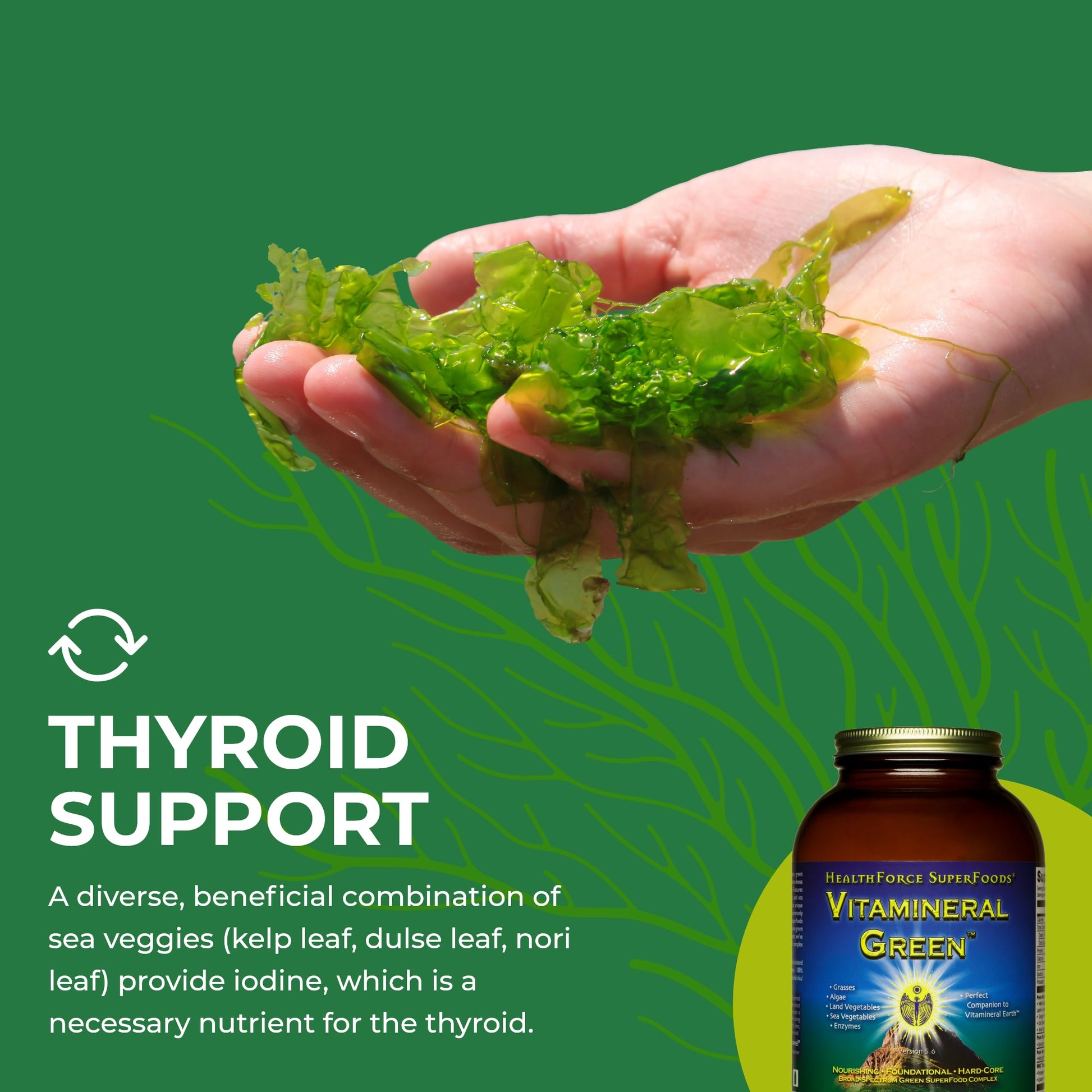 HEALTHFORCE SUPERFOODS Vitamineral Green - Mineral Supplement for Immune & Thyroid Support - Green Powder Supplement with Ingredients from The Land - Gluten-Free & Vegan - 500 Grams HEALTHFORCE SUPERFOODS uk supplements