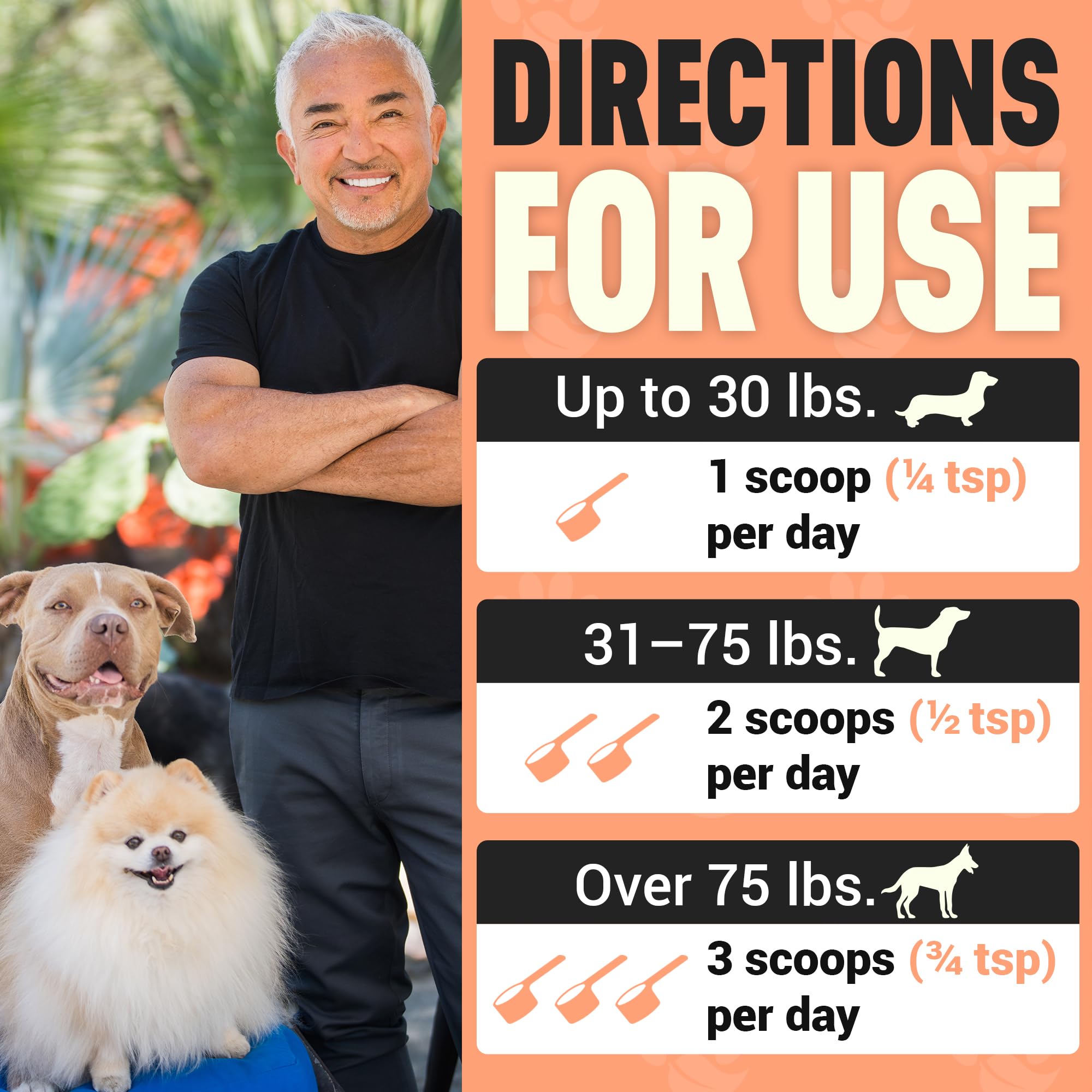 Better Dog Supplements Happy-Go-Lucky Belly by Cesar Millan - Natural Dog Digestive Support Powder – Dog Constipation Relief, Gut Balance & Regularity with Herbal Fiber for Dogs – 4oz (60-Day Supply) Better Dog Supplements By Cesar Millan uk supplements