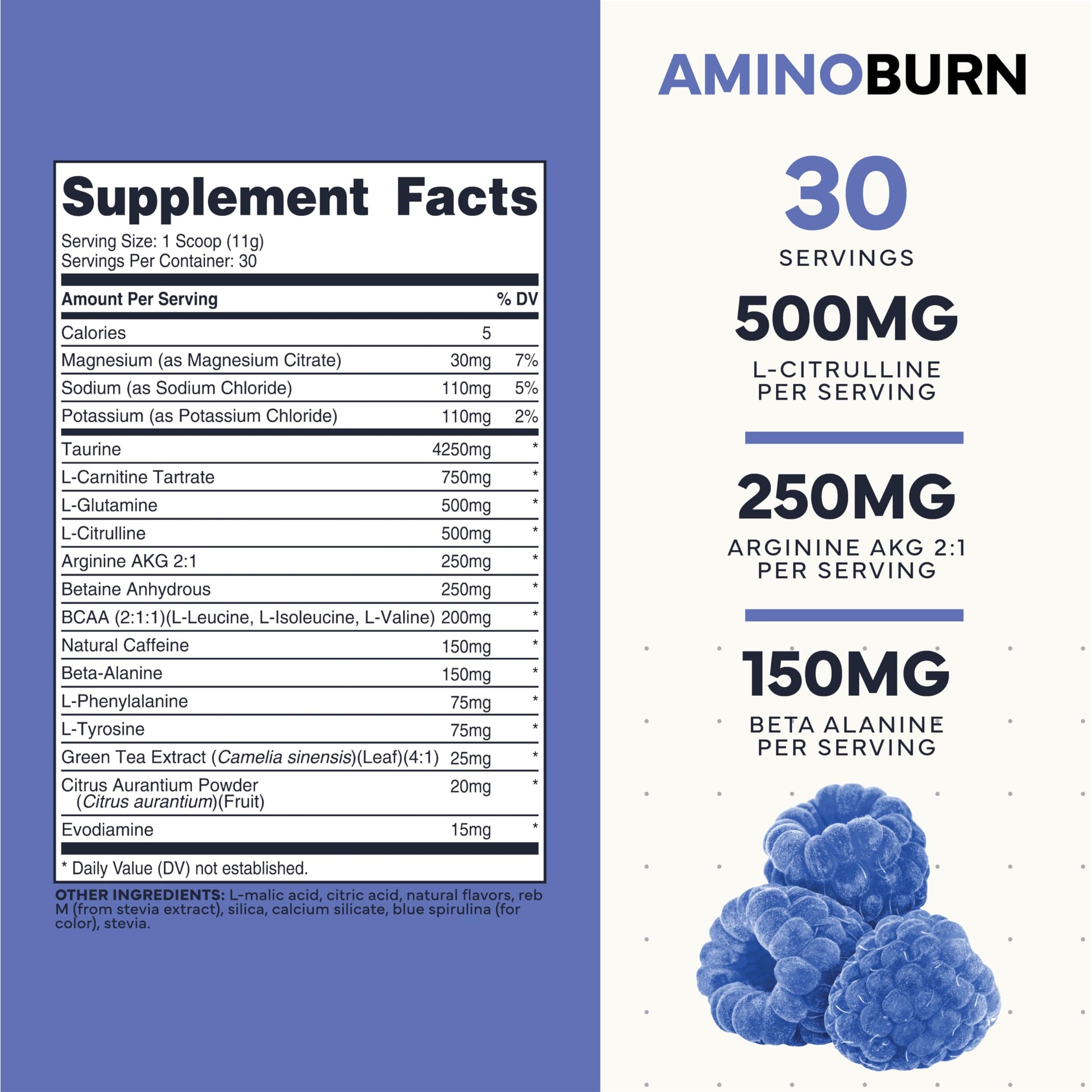 Type Zero Amino Burn - Vegan BCAA + Clean Pre Workout Powder with Arginine AKG, L-Citrulline & Beta Alanine - Amino Acid Clean Energy, Endurance & Hydration Supplement - Blue Raspberry, 30 Servings Type Zero uk supplements
