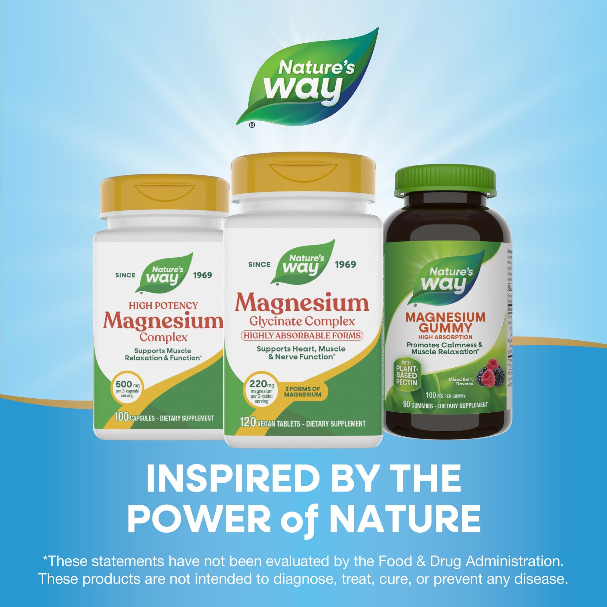 Nature's Way Magnesium Glycinate Complex, Supports Heart, Muscle, Nerve Function*, Highly Absorbable, 220 mg per 2-Tablet Serving, No Gluten, Vegan, 120 Tablets Nature's Way uk supplements