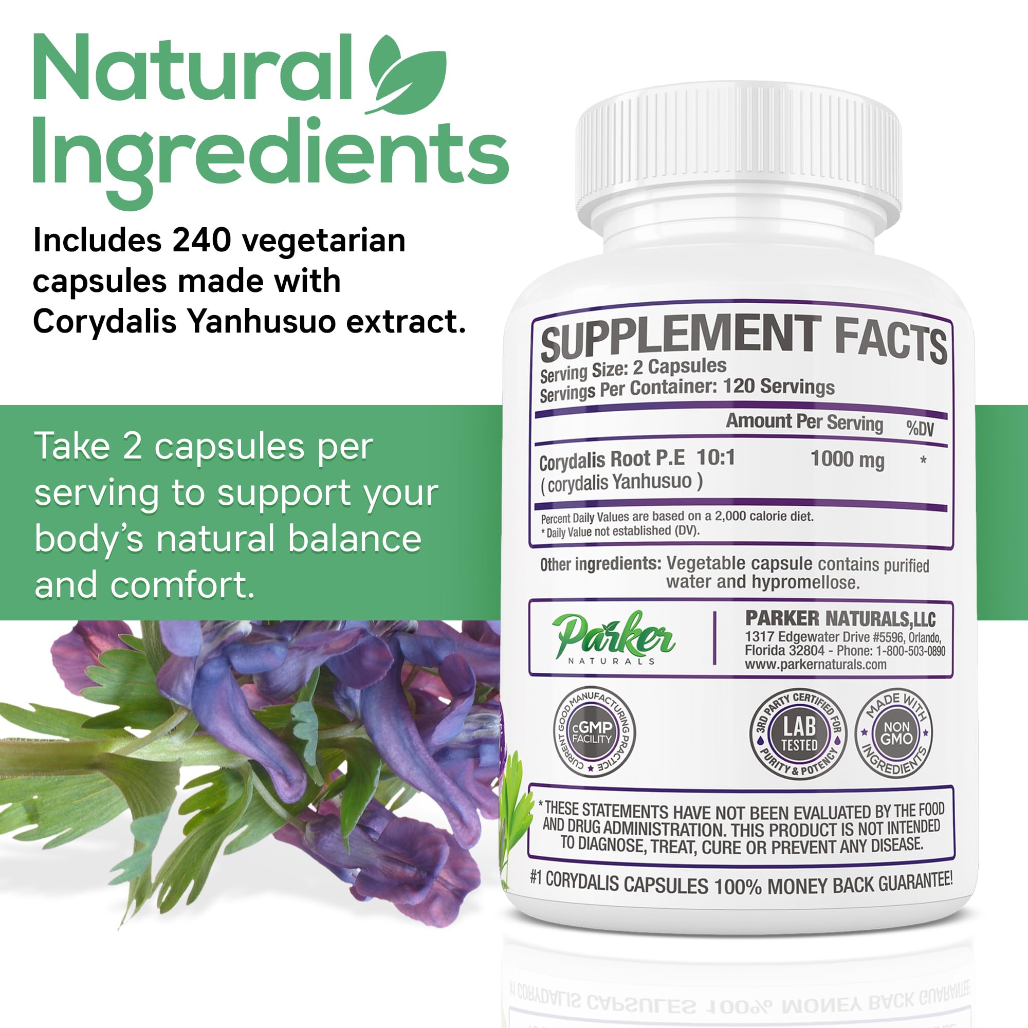 Parker Naturals Pure Corydalis Root Extract Capsule - 1000mg Strength, 10:1 Corydalis Yanhusuo Extract, Natural Relief, Long Lasting, 100% Vegetarian, 120 Servings, 240 Count Parker Naturals uk supplements