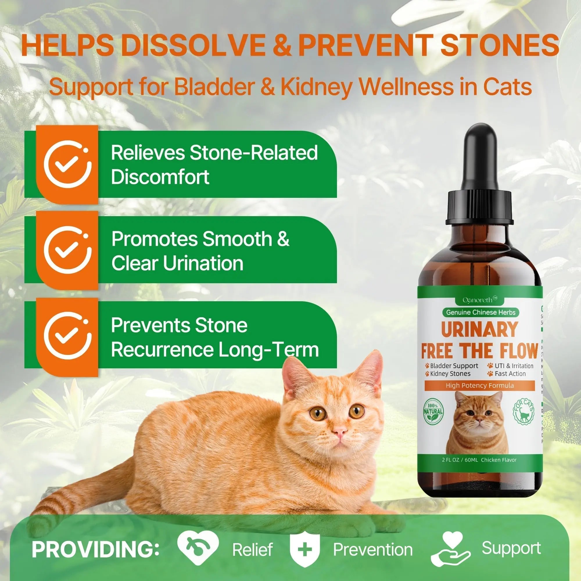 Cat Bladder Remedy for Stones & Crystals, Kidney StonesDissolver forCat- Urinary Free The Flow - Cat Urinary Tract Infection Treatment for Stones, Herbal CatUTI Remedy for Stone Relief & Prevention Qanoreth uk supplements