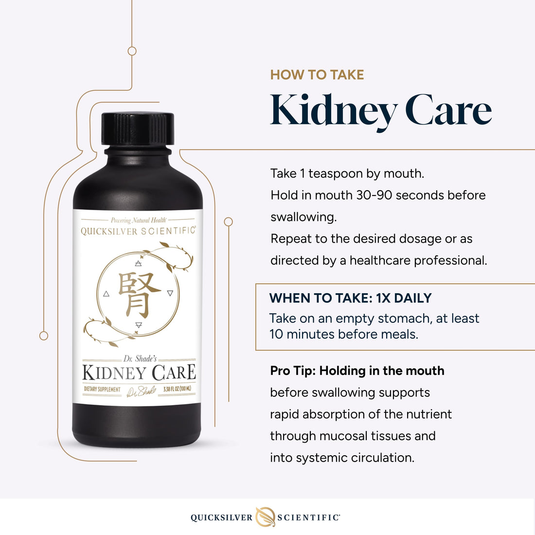 Quicksilver Scientific Kidney Care - Kidney Cleanse & Lymphatic Drainage Supplements - Astragaloside IV Extract, Zhu Ling, Goldenrod, Ferulic Acid, He Shou Wu & Dandelion Leaf (3.38oz / 100ml) Quicksilver Scientific uk supplements