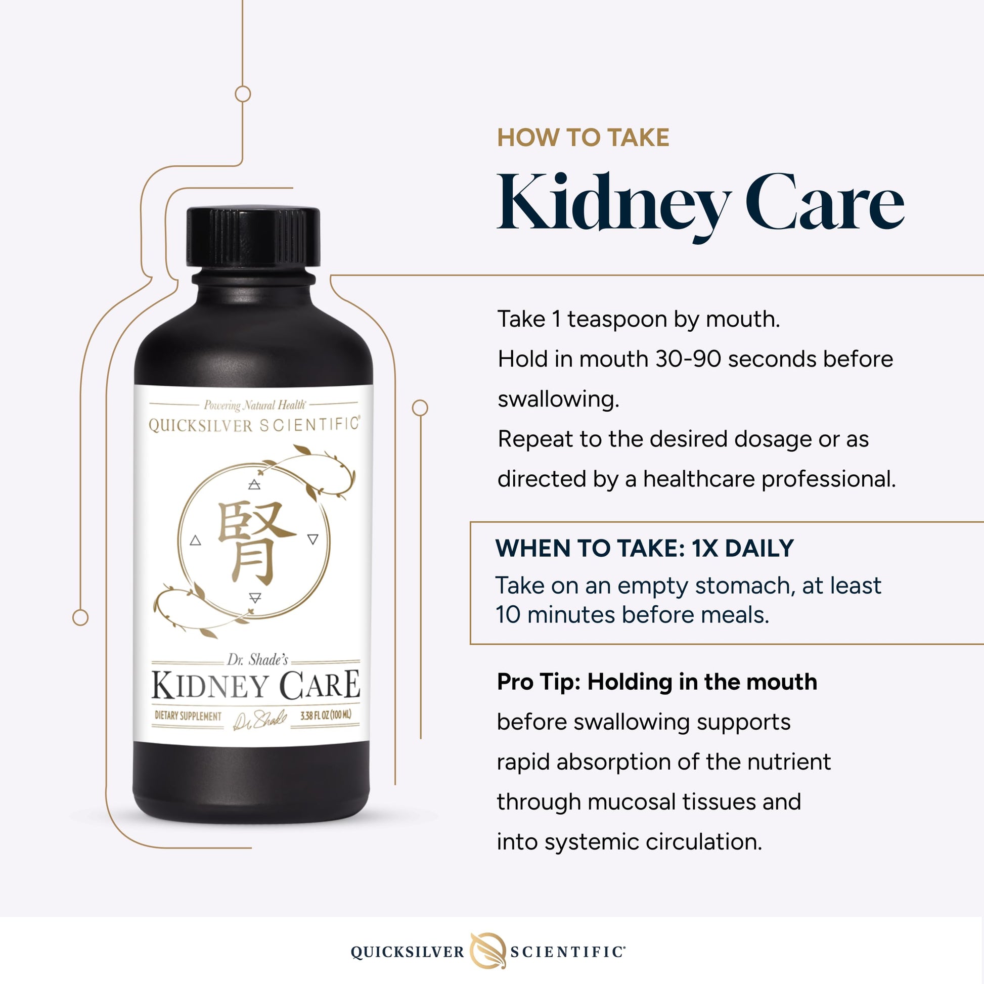Quicksilver Scientific Kidney Care - Kidney Cleanse & Lymphatic Drainage Supplements - Astragaloside IV Extract, Zhu Ling, Goldenrod, Ferulic Acid, He Shou Wu & Dandelion Leaf (3.38oz / 100ml) Quicksilver Scientific uk supplements