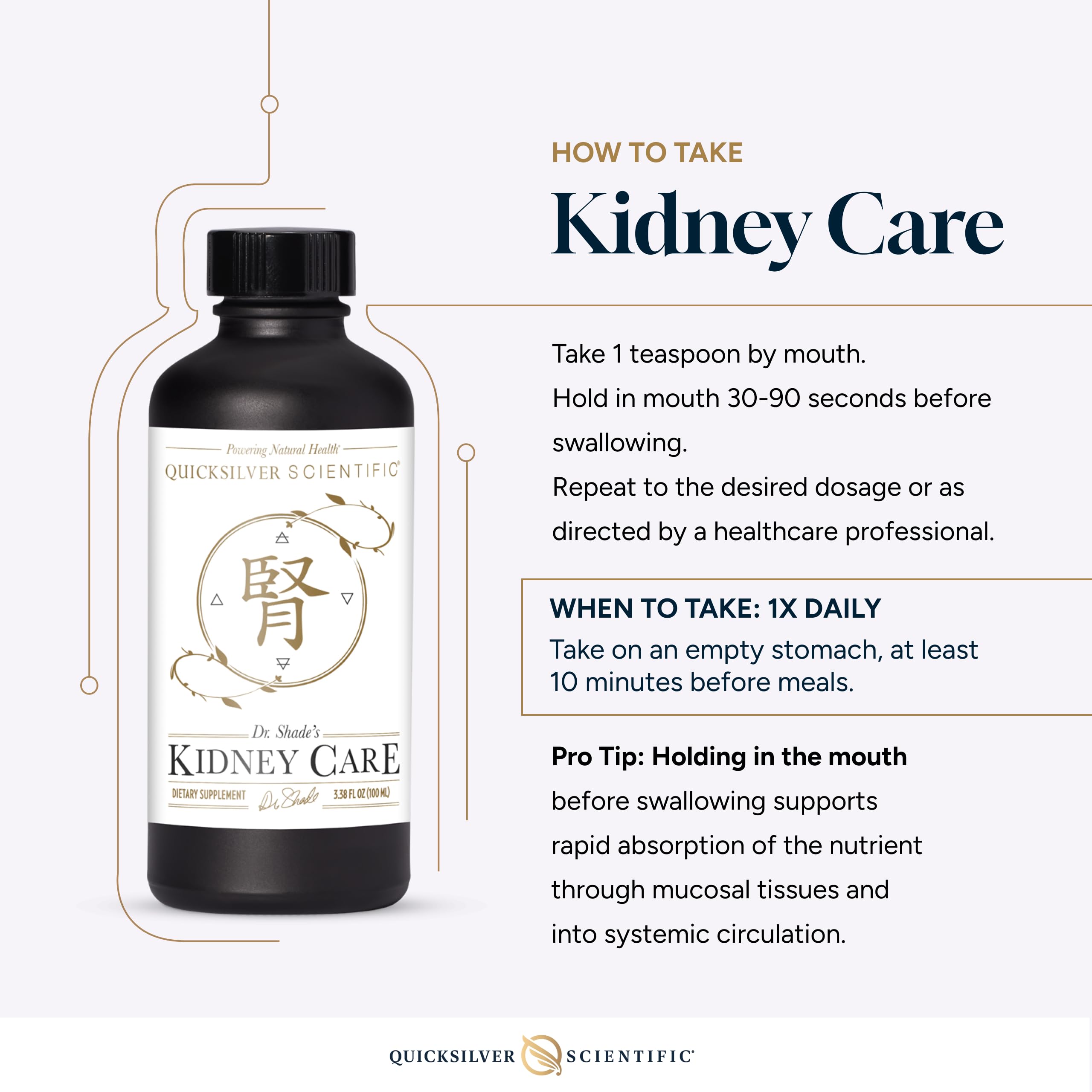 Quicksilver Scientific Kidney Care - Kidney Cleanse & Lymphatic Drainage Supplements - Astragaloside IV Extract, Zhu Ling, Goldenrod, Ferulic Acid, He Shou Wu & Dandelion Leaf (3.38oz / 100ml) Quicksilver Scientific uk supplements