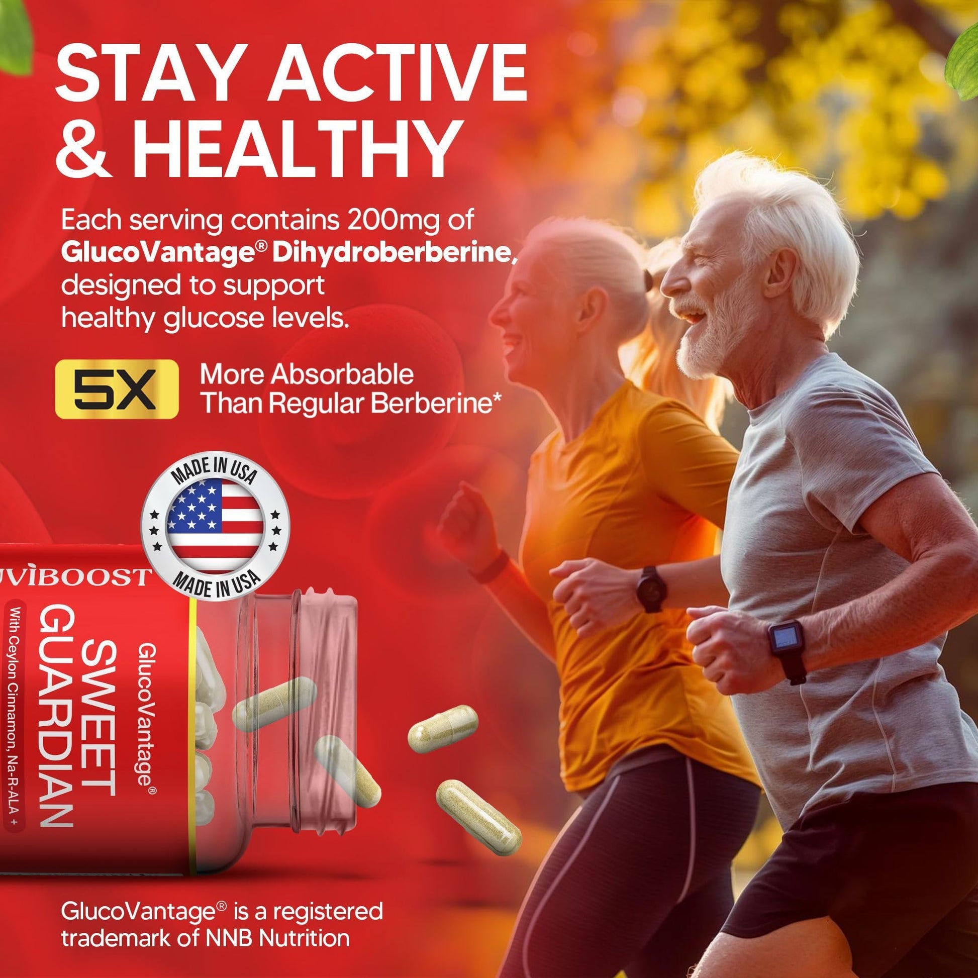 NUVIBOOST Super Dihydroberberine (GlucoVantage®) 200mg with Ceylon Cinnamon, Alpha Lipoic Acid, Selenium, Gymnema Sylvestre, Benfotiamine and Others for Overall Immunity. NUVIBOOST uk supplements