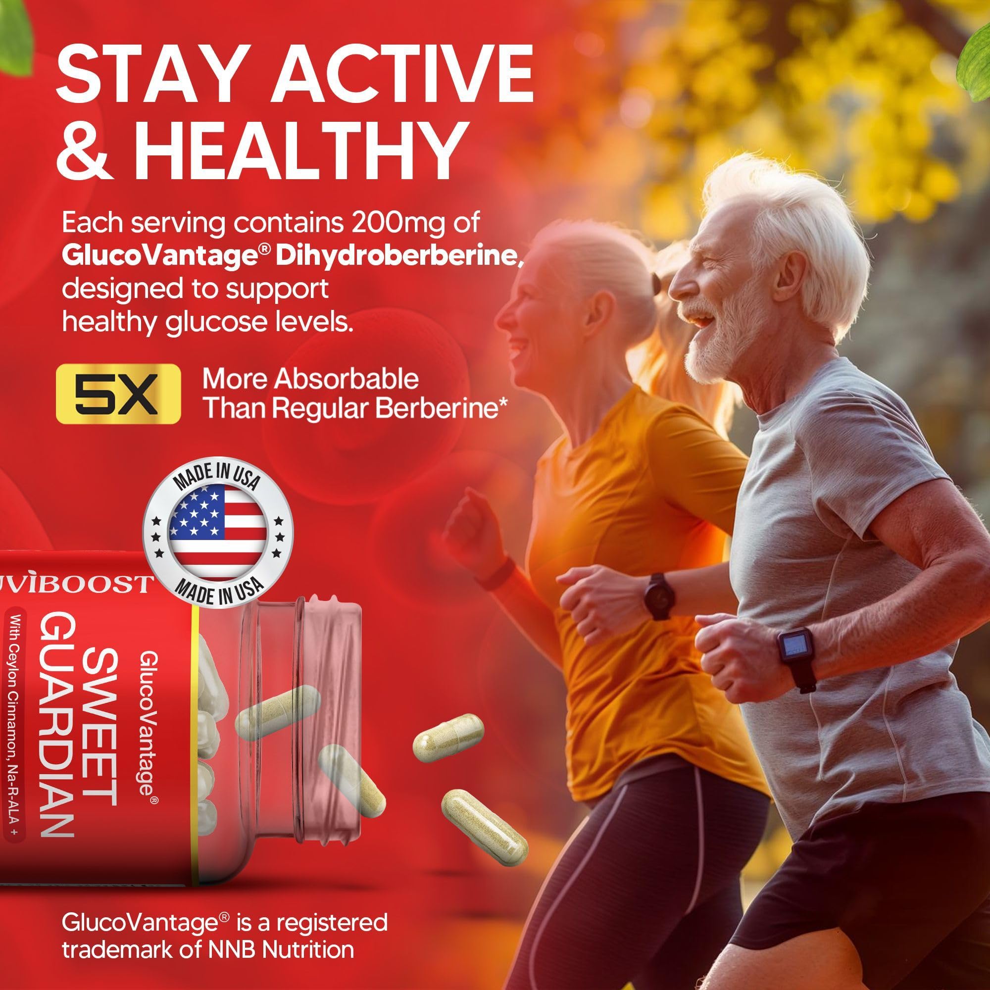 NUVIBOOST Super Dihydroberberine (GlucoVantage®) 200mg with Ceylon Cinnamon, Alpha Lipoic Acid, Selenium, Gymnema Sylvestre, Benfotiamine and Others for Overall Immunity. NUVIBOOST uk supplements