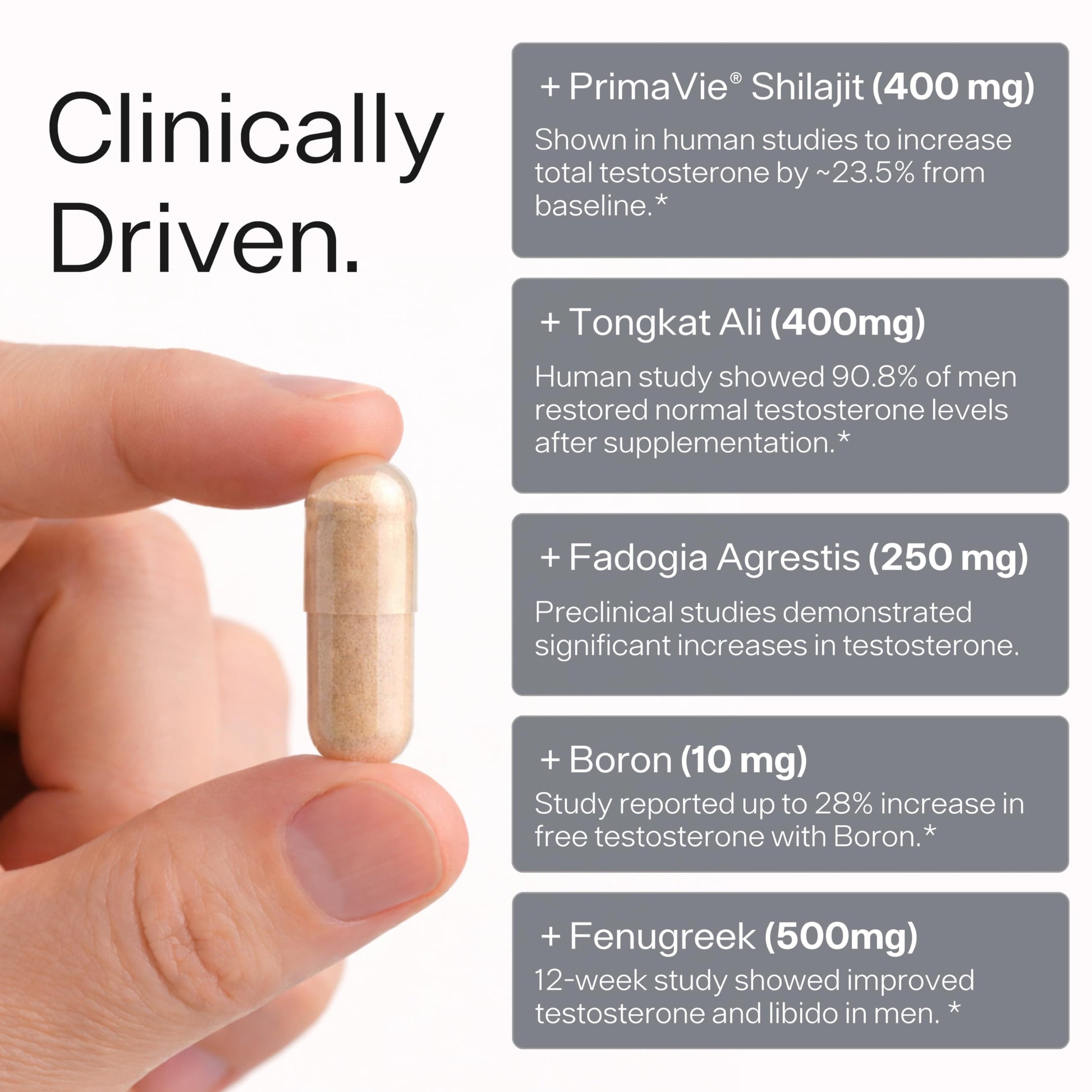 Testosterone Booster for Men - Sheer Alpha T-Booster - Clinically Backed Dose, Strongest Formula - Made in USA - Premium Blend of Fadogia Agrestis Tongkat Ali and Shilajit. 30 Servings Sheer Strength Labs uk supplements