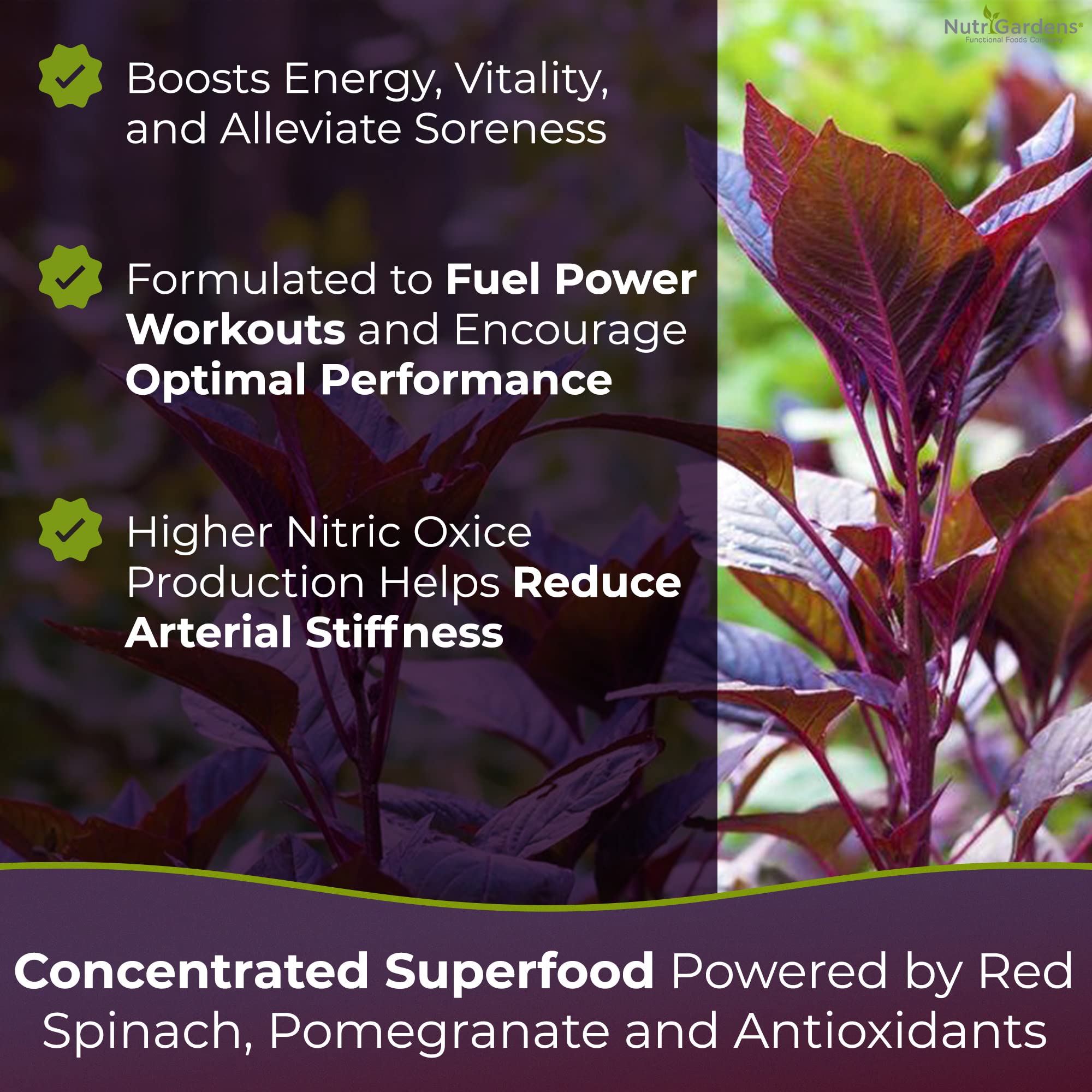 Nutrigardens Spin Boost Nitric Oxide Red Spinach Nitrate Pre-Workout Powder Concentrated Nutrigardens uk supplements