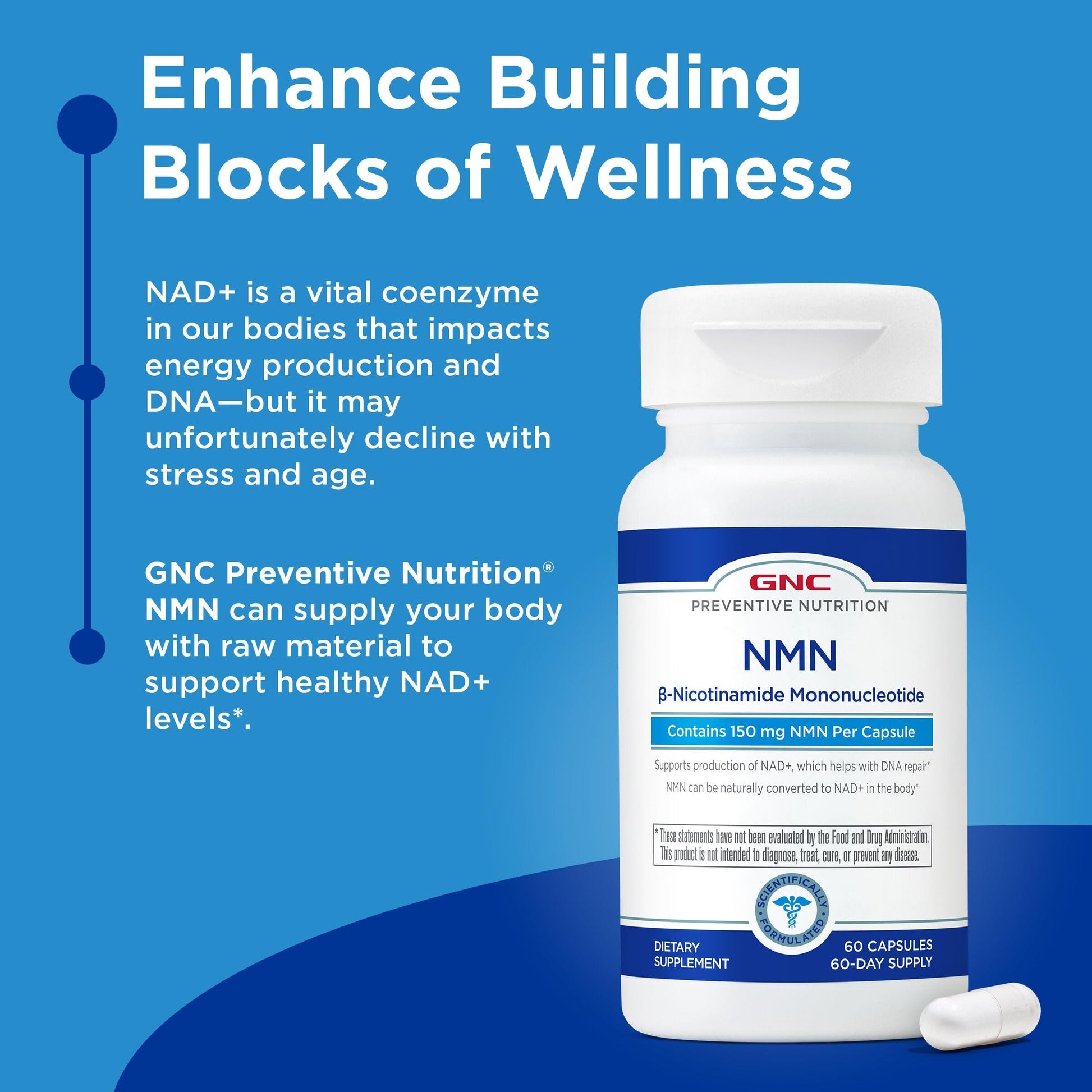 GNC Preventive Nutrition NMN, 150 mg, NAD+ Booster Supplement for Cellular Energy & DNA Repair, Anti-Aging Support, 60 Capsules, Gluten Free, 60 svg GNC uk supplements