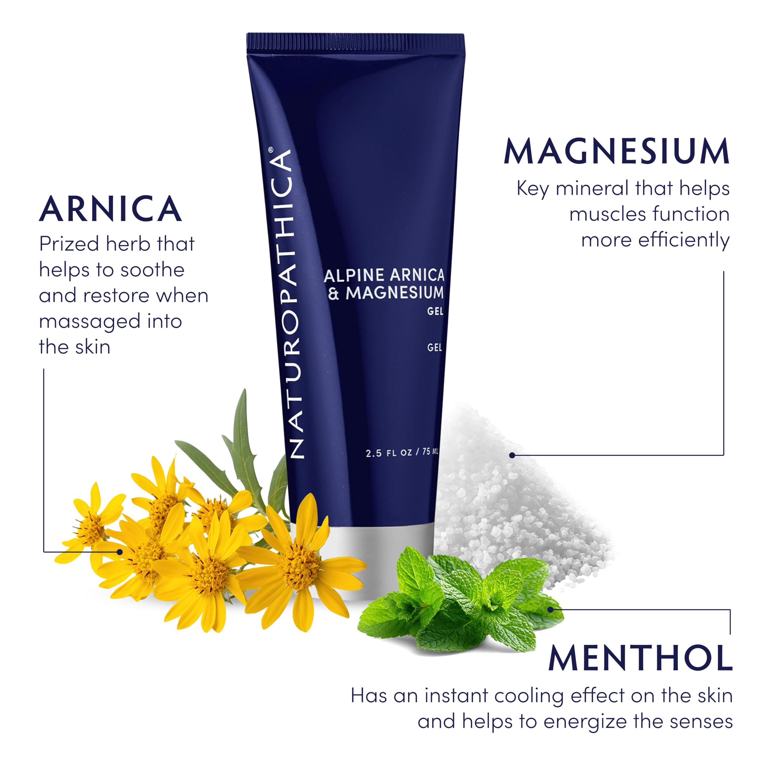 Naturopathica Alpine Arnica & Magnesium Gel, Cooling Massage Gel with Menthol for Muscle Discomfort and Relaxation, 2.5 fl oz Naturopathica uk supplements
