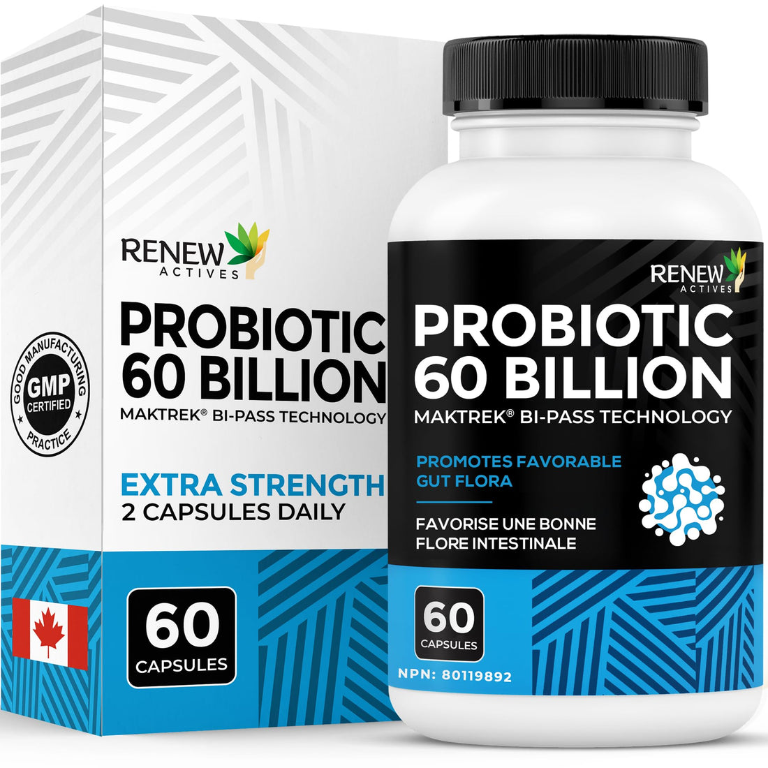 Renew Actives Probiotic Supplement for Digestive Health 60 Billion CFU per 2 Capsules - Advanced Formula with Prebiotic Benefits - Supports Gut Flora Balance & Wellness - Made in Canada - 60 Capsules Renew Actives uk supplements