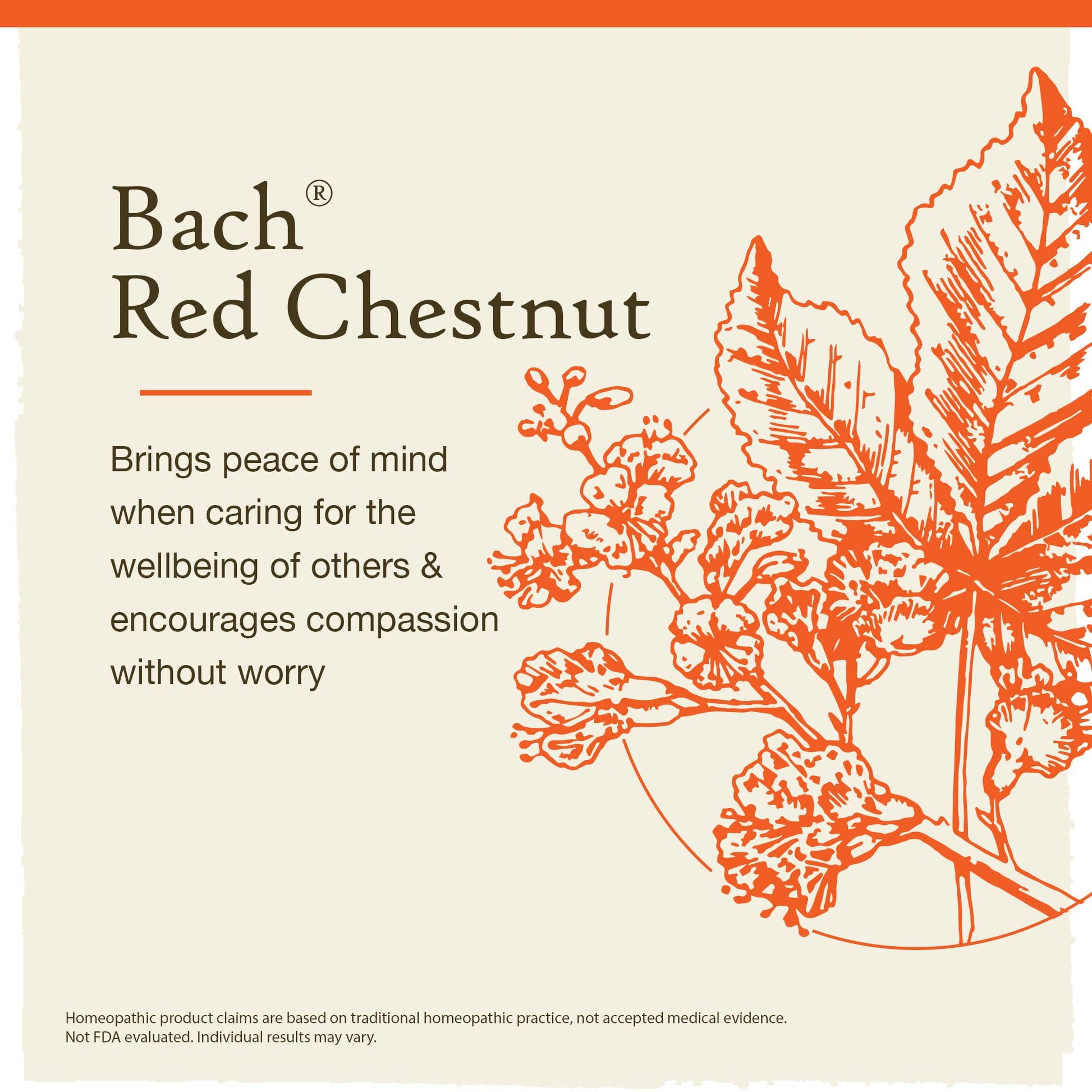 Bach Original Flower Remedies, Red Chestnut for Peace of Mind (Non-Alcohol Formula) Bach uk supplements
