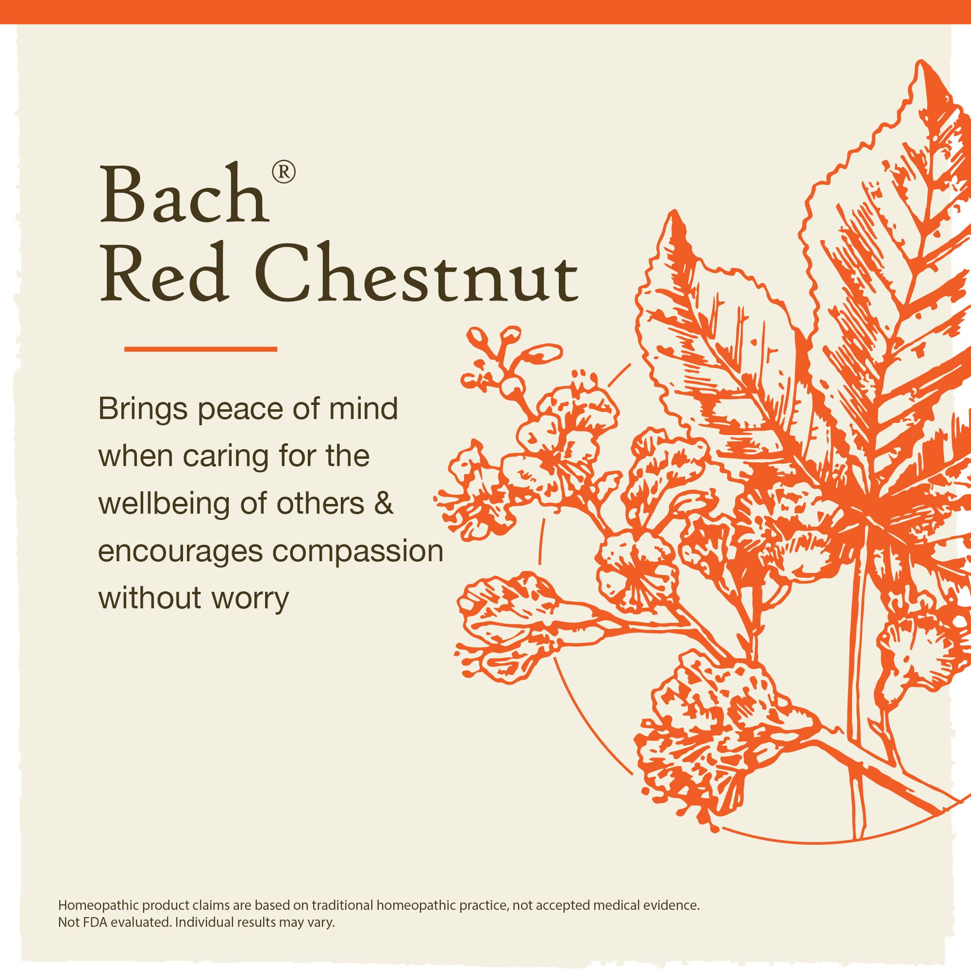 Bach Original Flower Remedies, Red Chestnut for Peace of Mind (Non-Alcohol Formula) Bach uk supplements