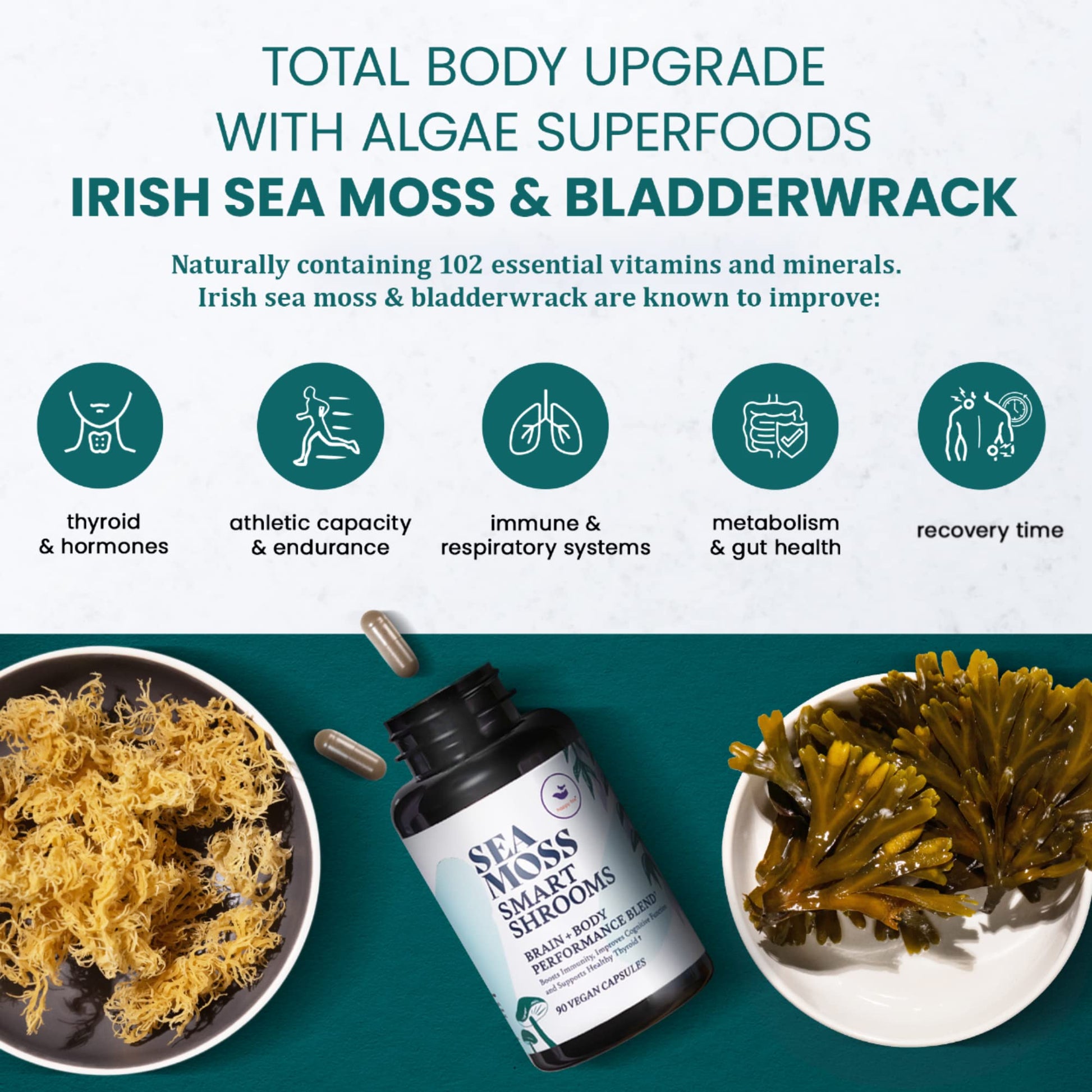 HAPPY FOX Irish Sea Moss Capsules & Mushroom Complex - Organic Seamoss with Adaptogens for Brain Health, 1500mg, 90 Vegan Capsules, Organic Mushroom Supplement HAPPY FOX uk supplements