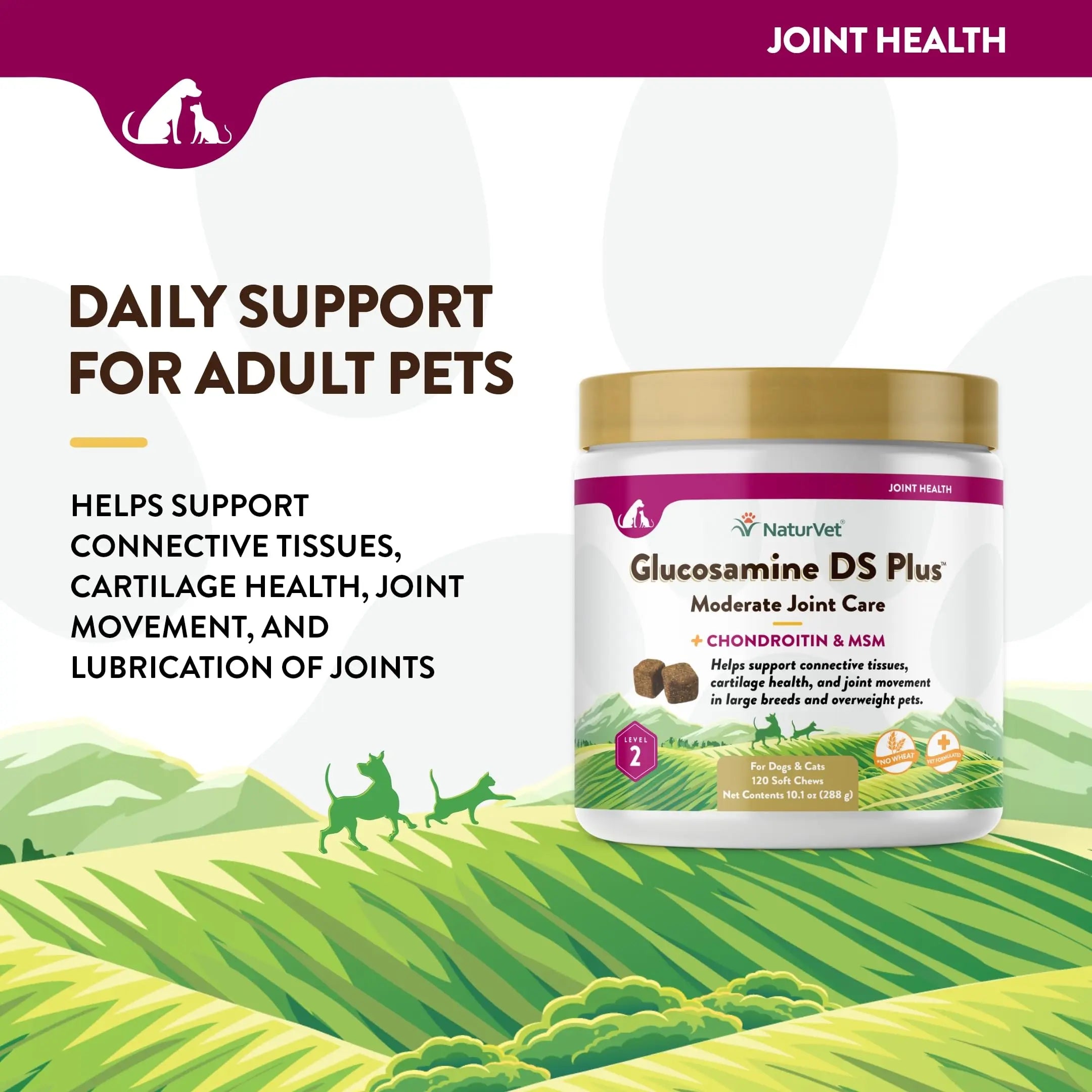 NaturVet – Glucosamine DS Plus - Level 2 Moderate Care – Supports Healthy Hip & Joint Function – Enhanced with Glucosamine, MSM & Chondroitin – for Dogs & Cats–120 Soft Chews NaturVet uk supplements