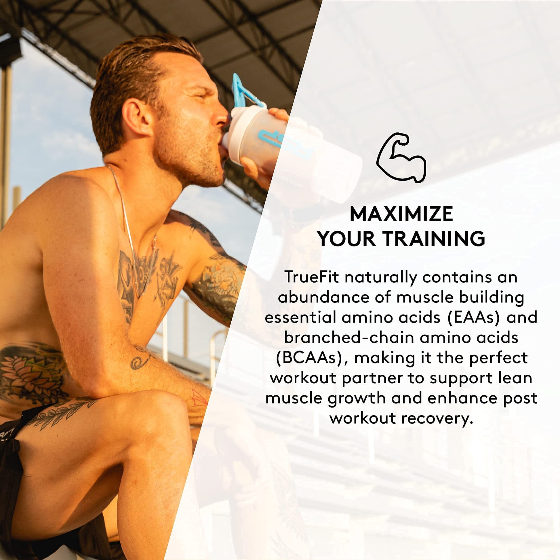 TrueFit Meal Replacement Shake Protein Powder, Grass Fed Whey + Organic Fruits RSP NUTRITION uk supplements