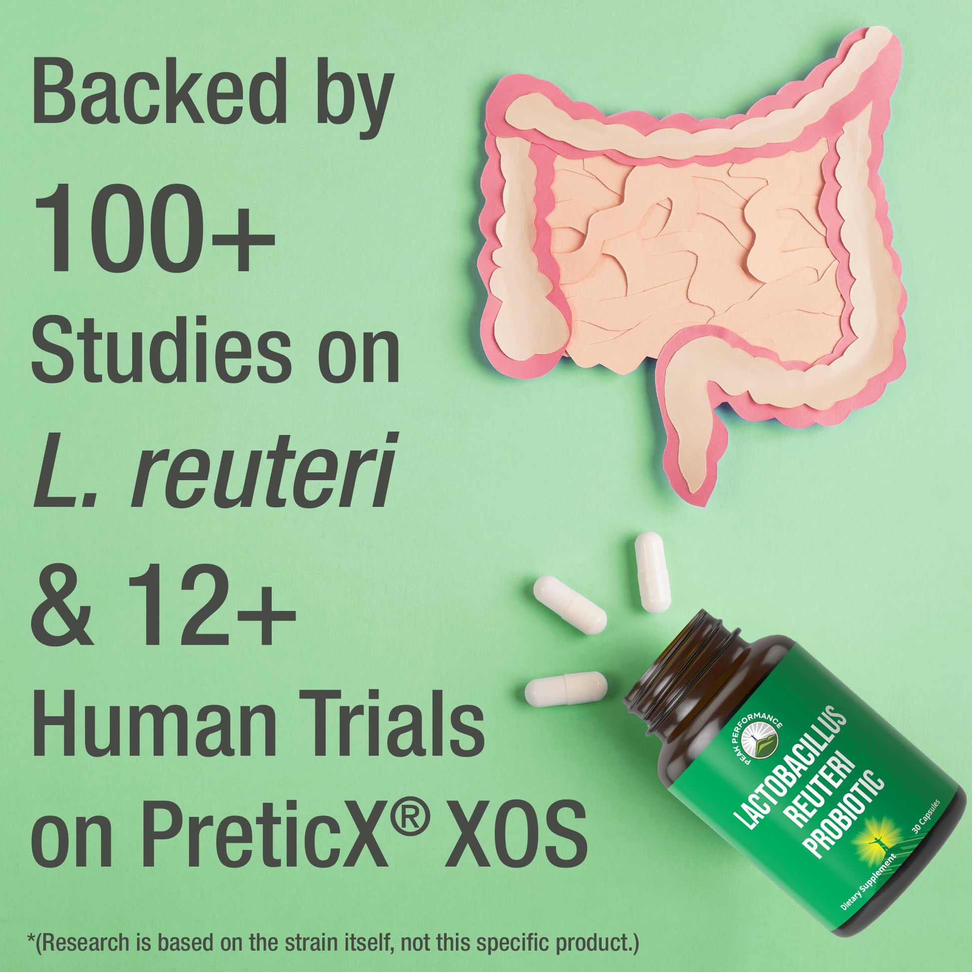 Lactobacillus Reuteri 50 Billion CFU Probiotics with Clinically Studied PreticX® XOS Prebiotic. L Reuteri Probiotic Capsules Supplement for Gut Health and Digestive Support. for Both Women & Men Peak Performance uk supplements