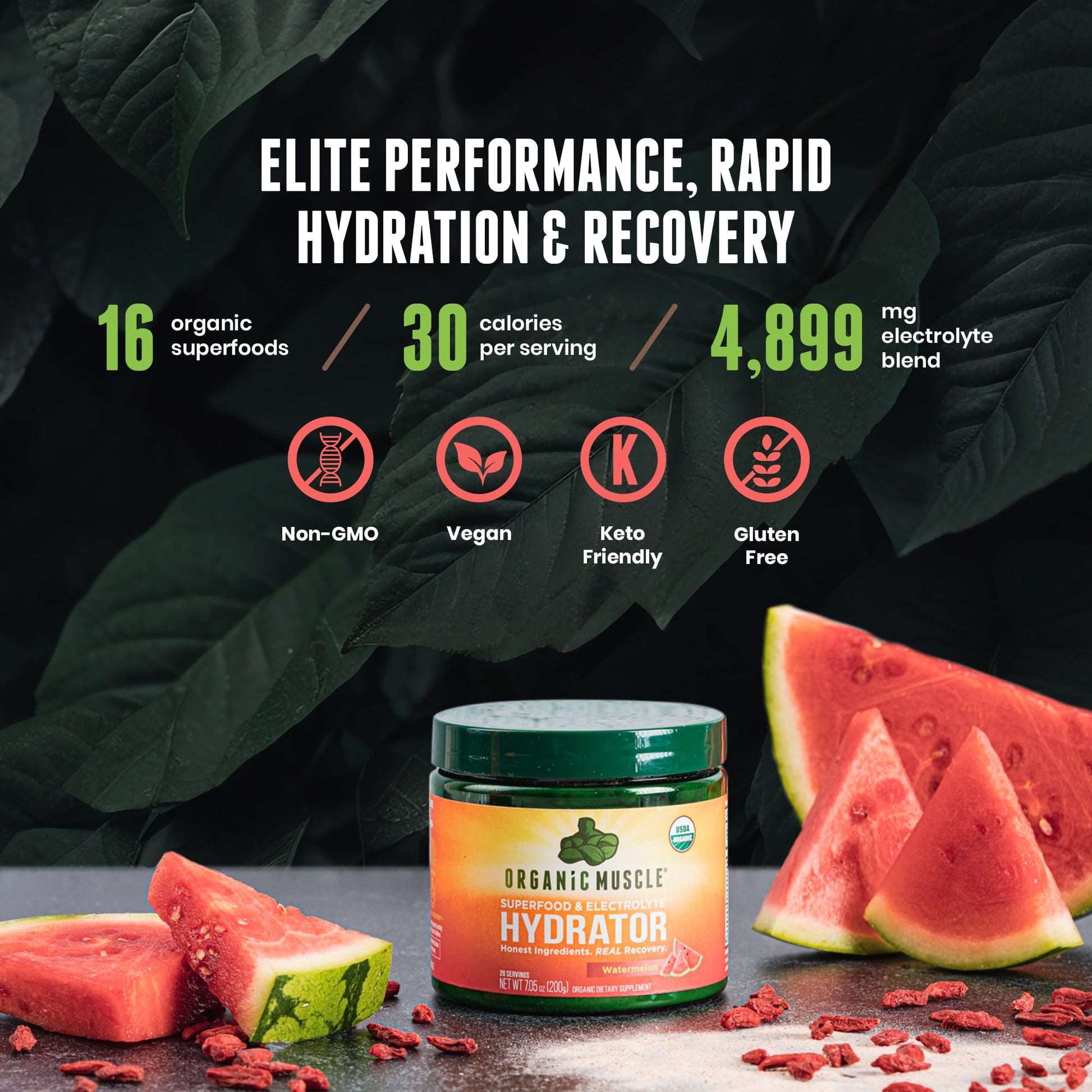 Organic Muscle Hydrator | Natural Electrolyte Powder for Peak Performance & Recovery - Watermelon Flavor, 20 Servings Organic Muscle uk supplements